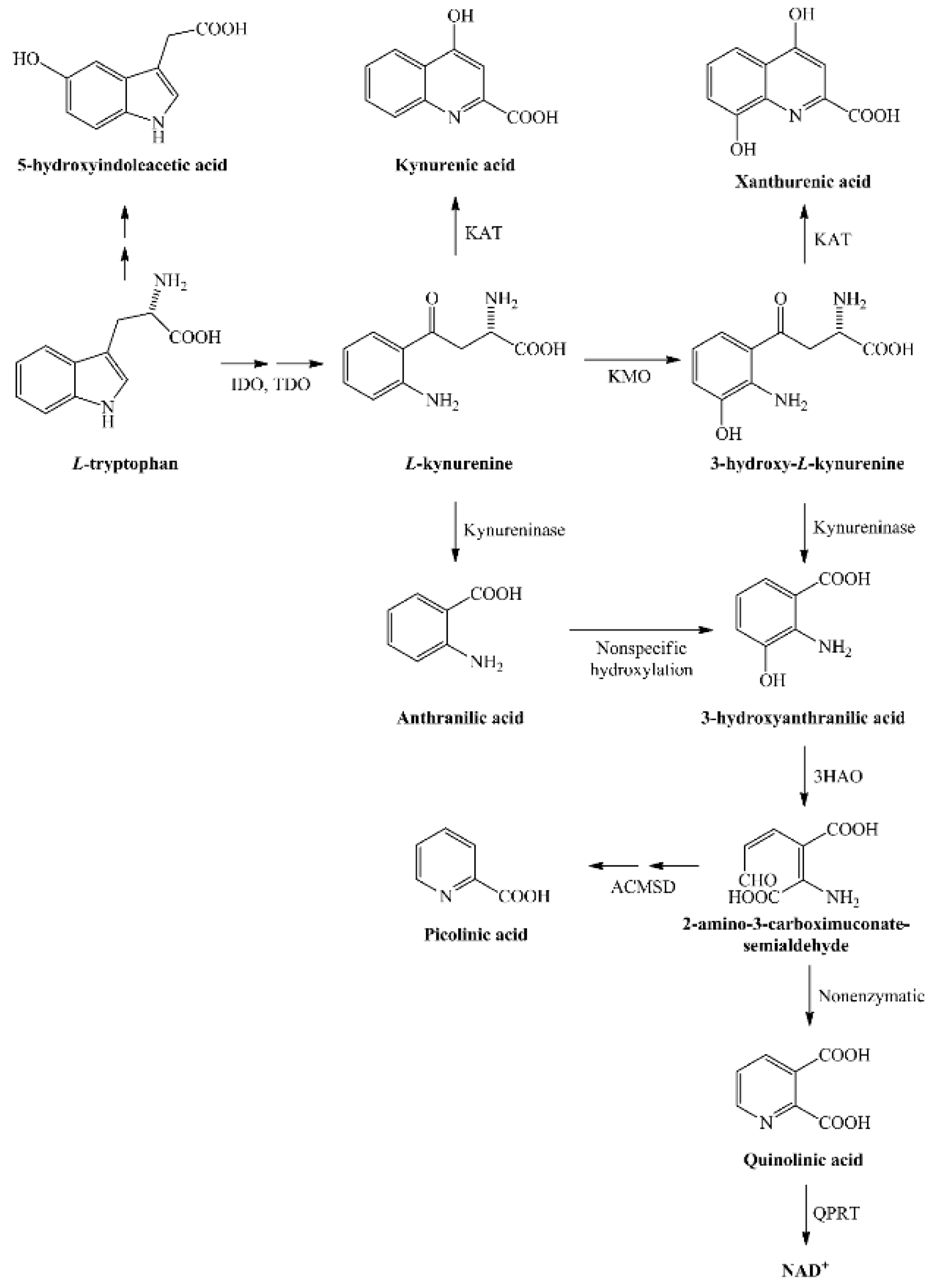 Ijms 21 02665 g001 Ijms 21 02665 g001