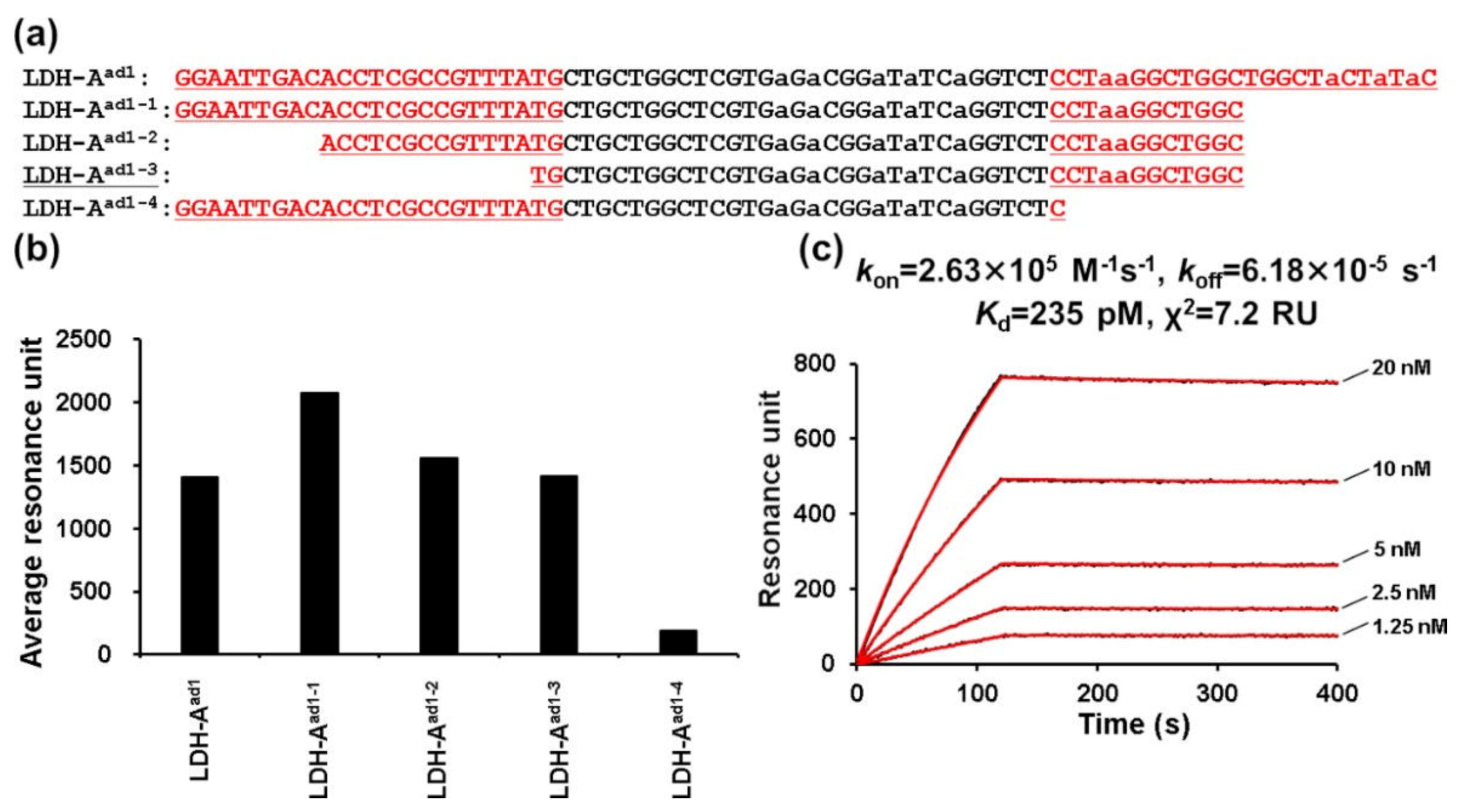 Ijms 21 02683 g004 Ijms 21 02683 g004