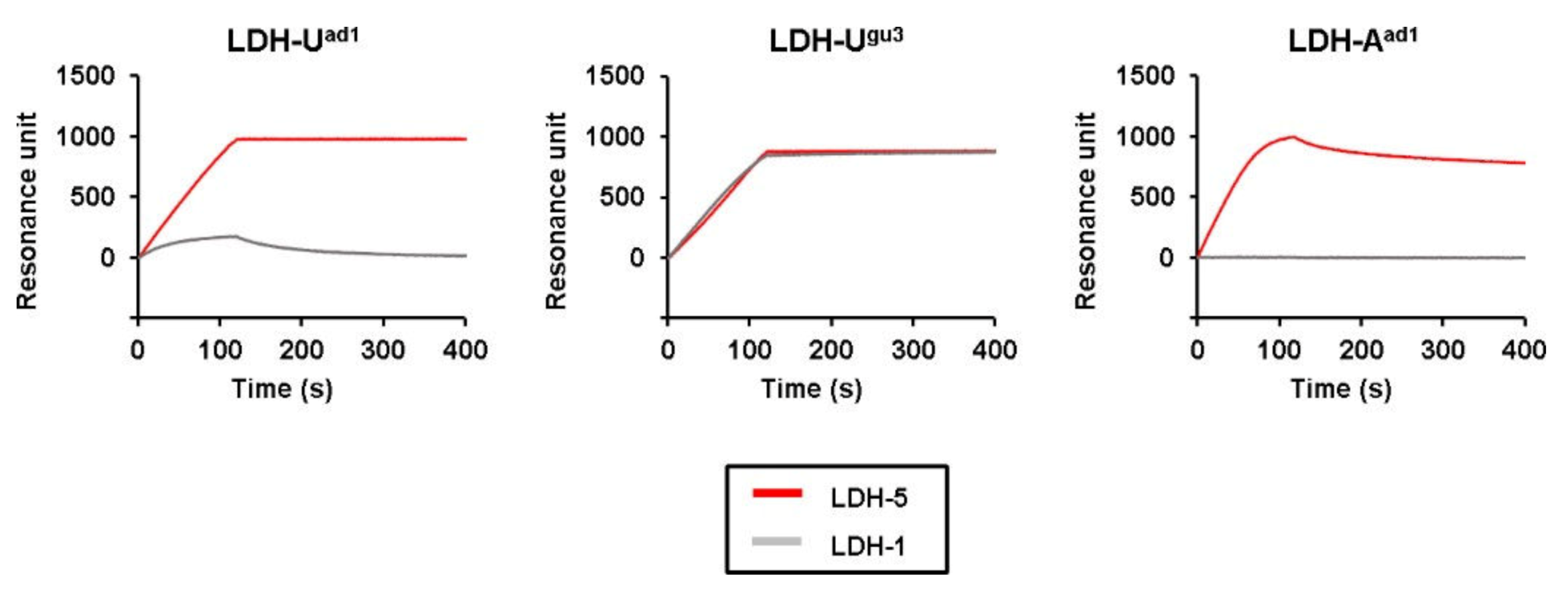 Ijms 21 02683 g0a6 Ijms 21 02683 g0a6