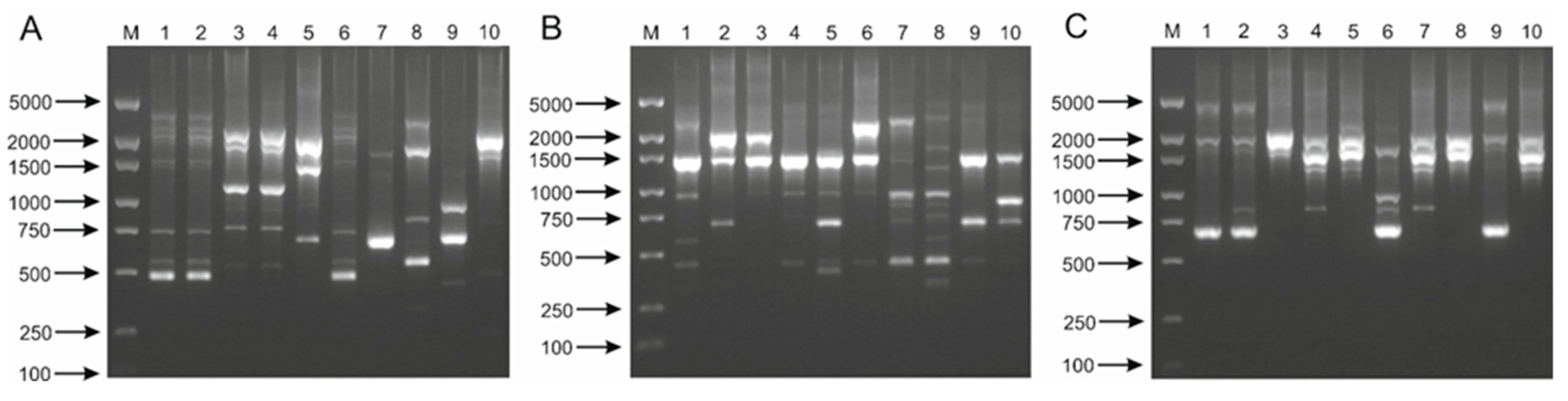 Ijms 21 02694 g003 Ijms 21 02694 g003