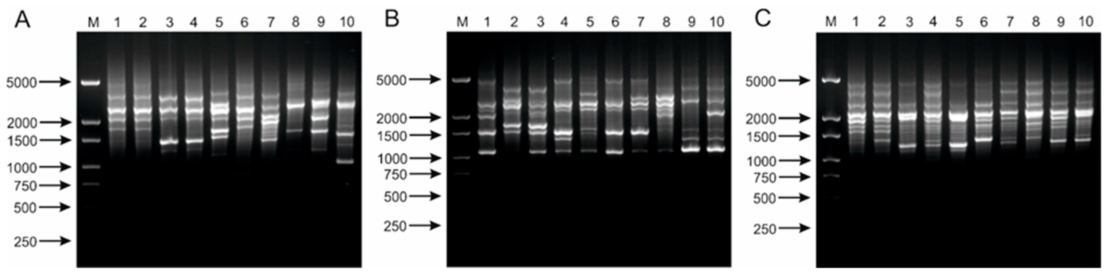 Ijms 21 02694 g004 Ijms 21 02694 g004