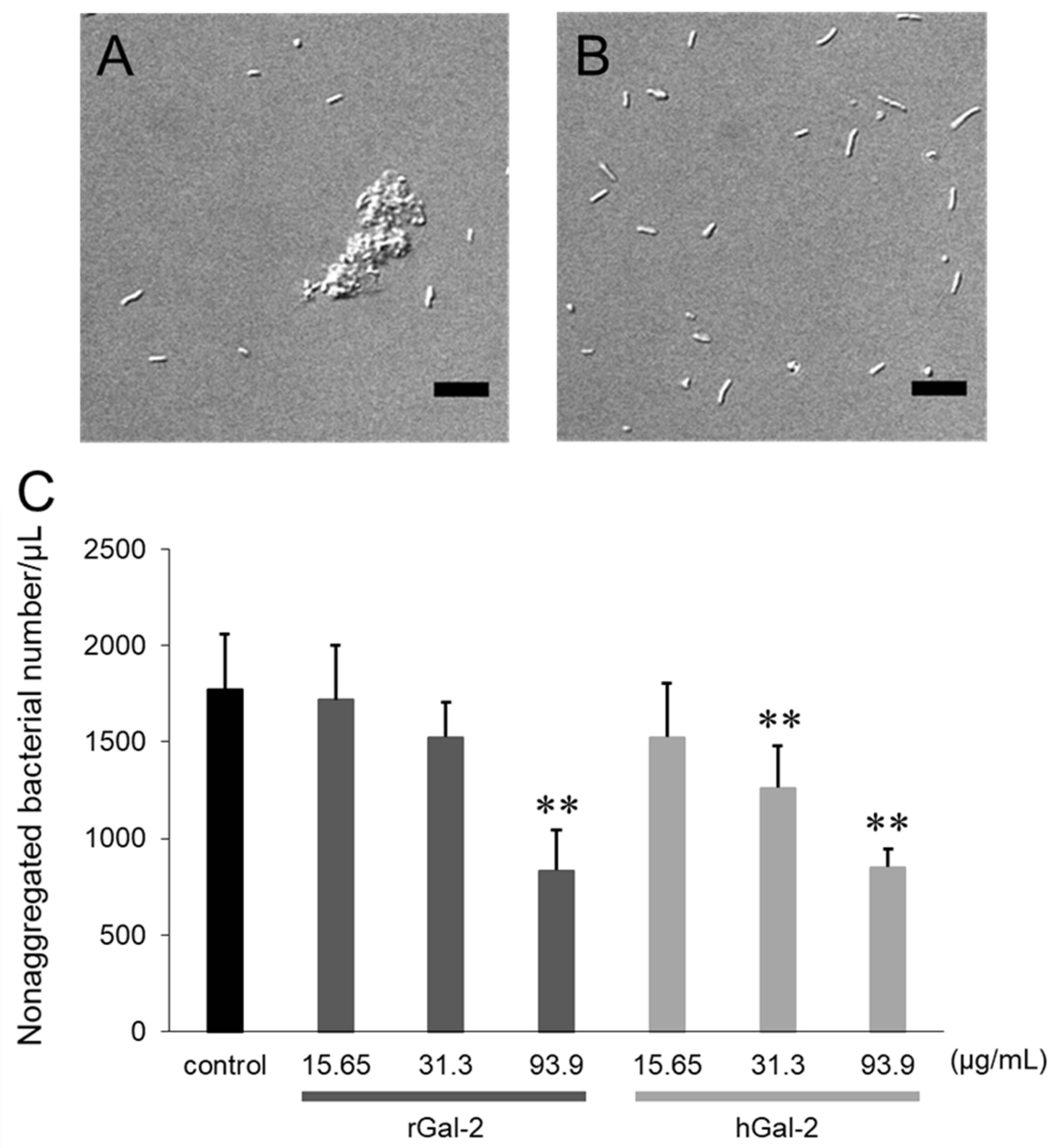 Ijms 21 02697 g001 Ijms 21 02697 g001