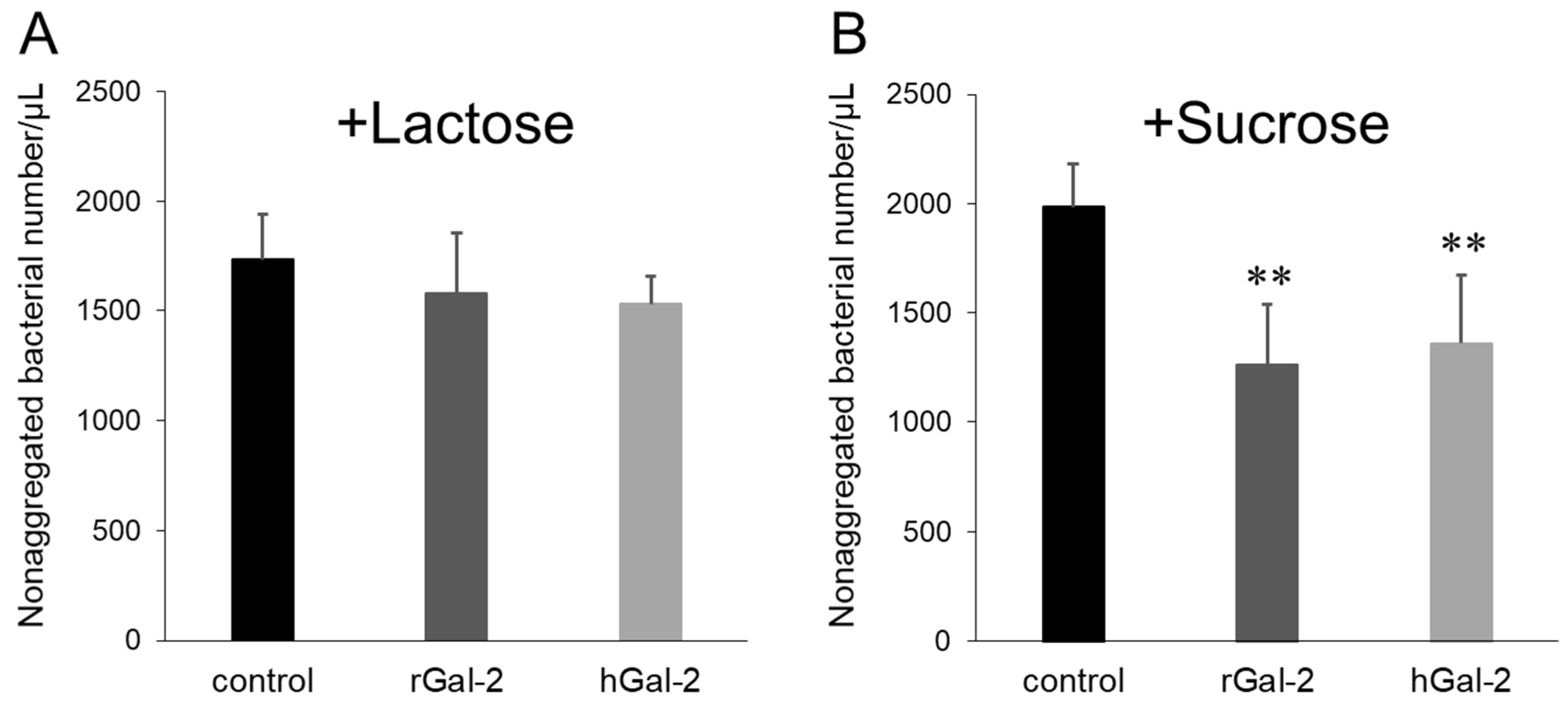Ijms 21 02697 g002 Ijms 21 02697 g002