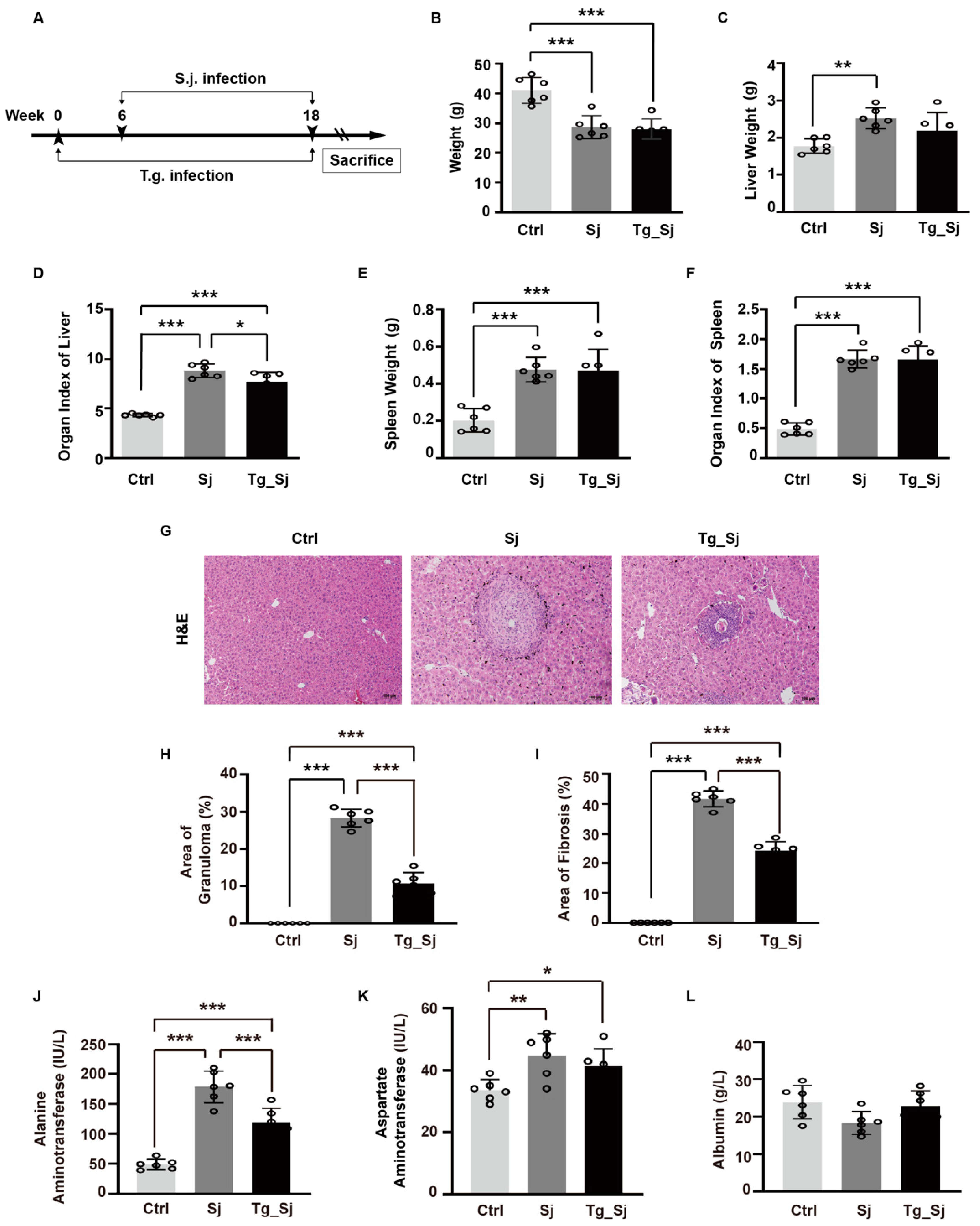 Ijms 21 02711 g001 Ijms 21 02711 g001