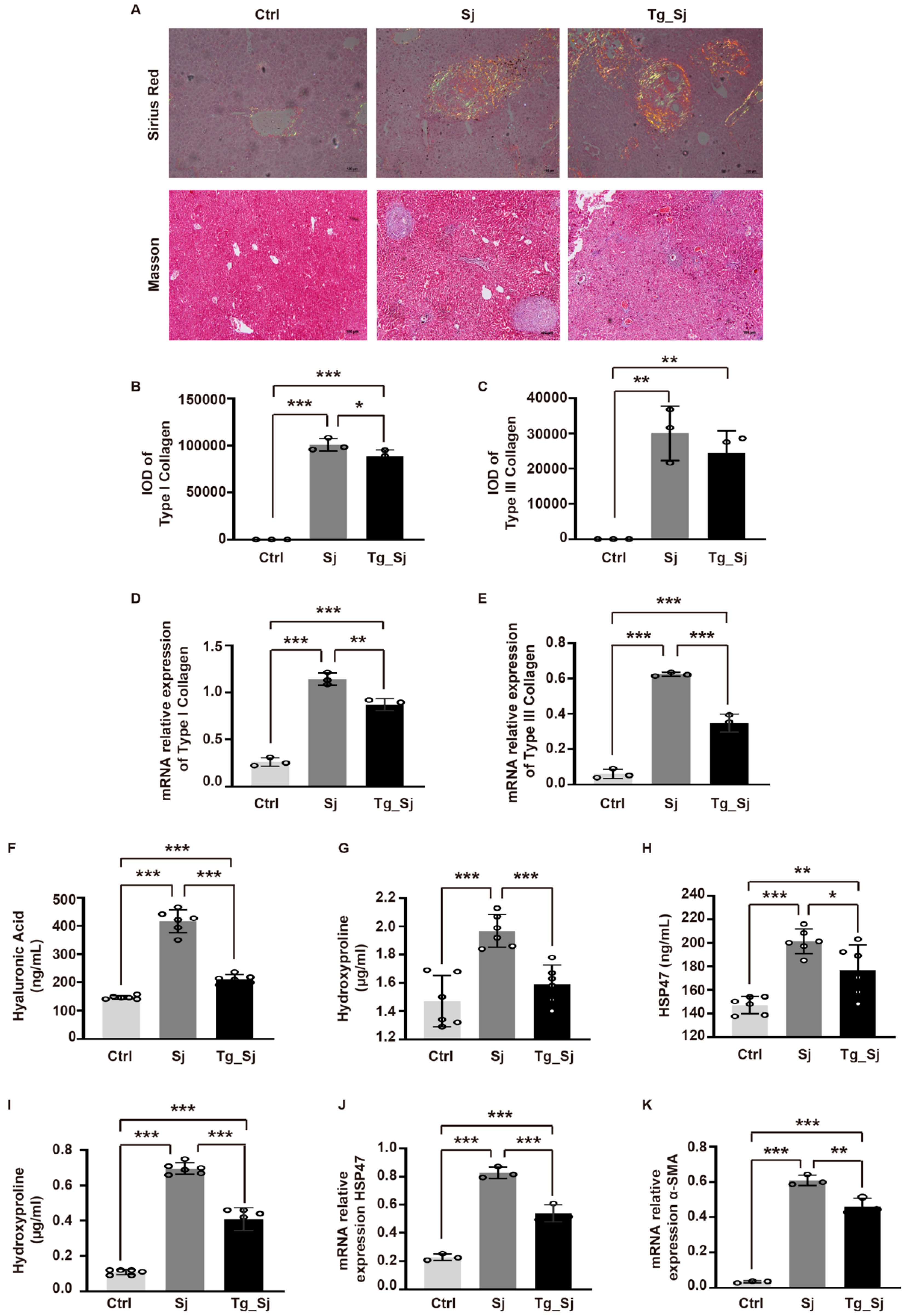 Ijms 21 02711 g002 Ijms 21 02711 g002