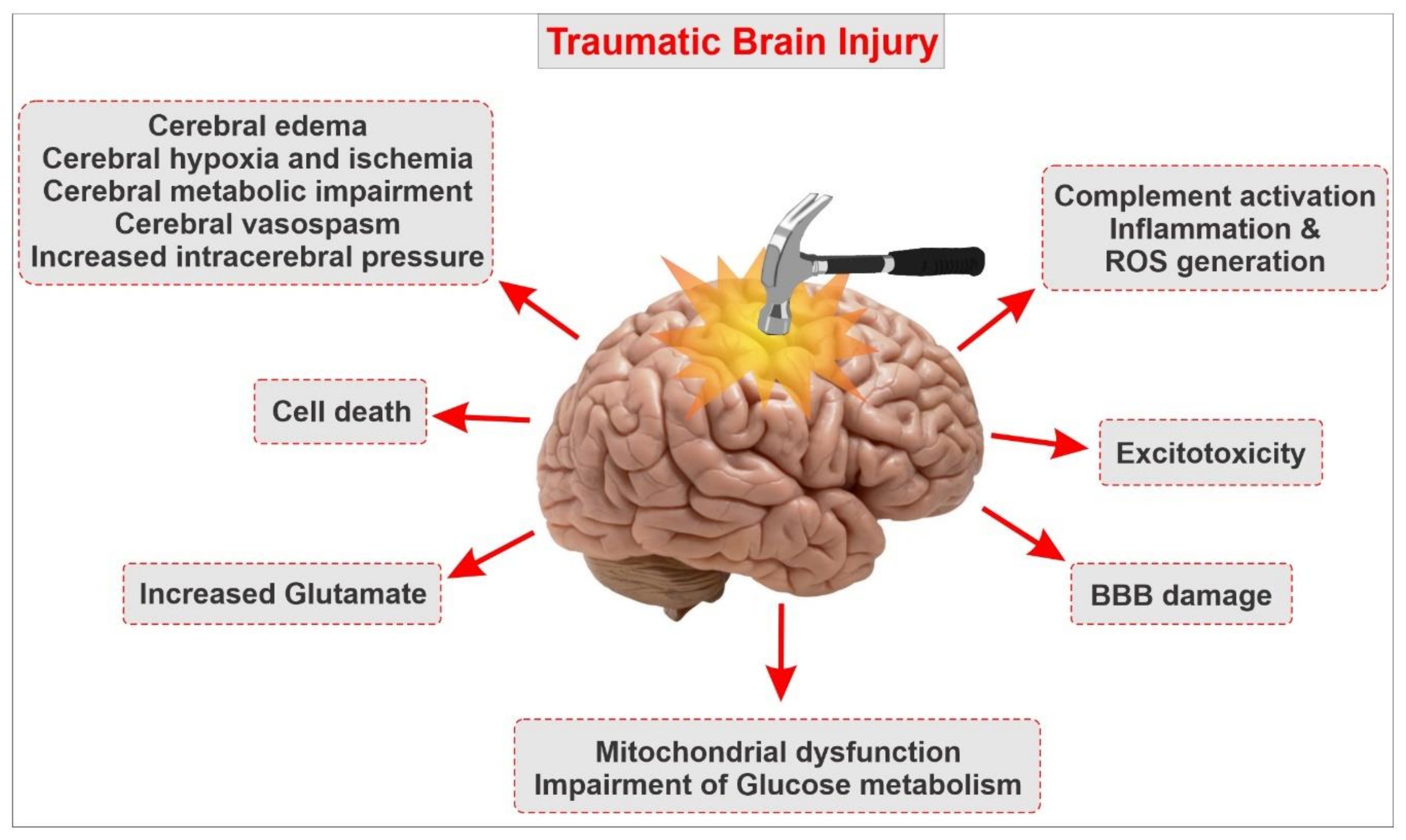 Trauma And Brain Chemistry