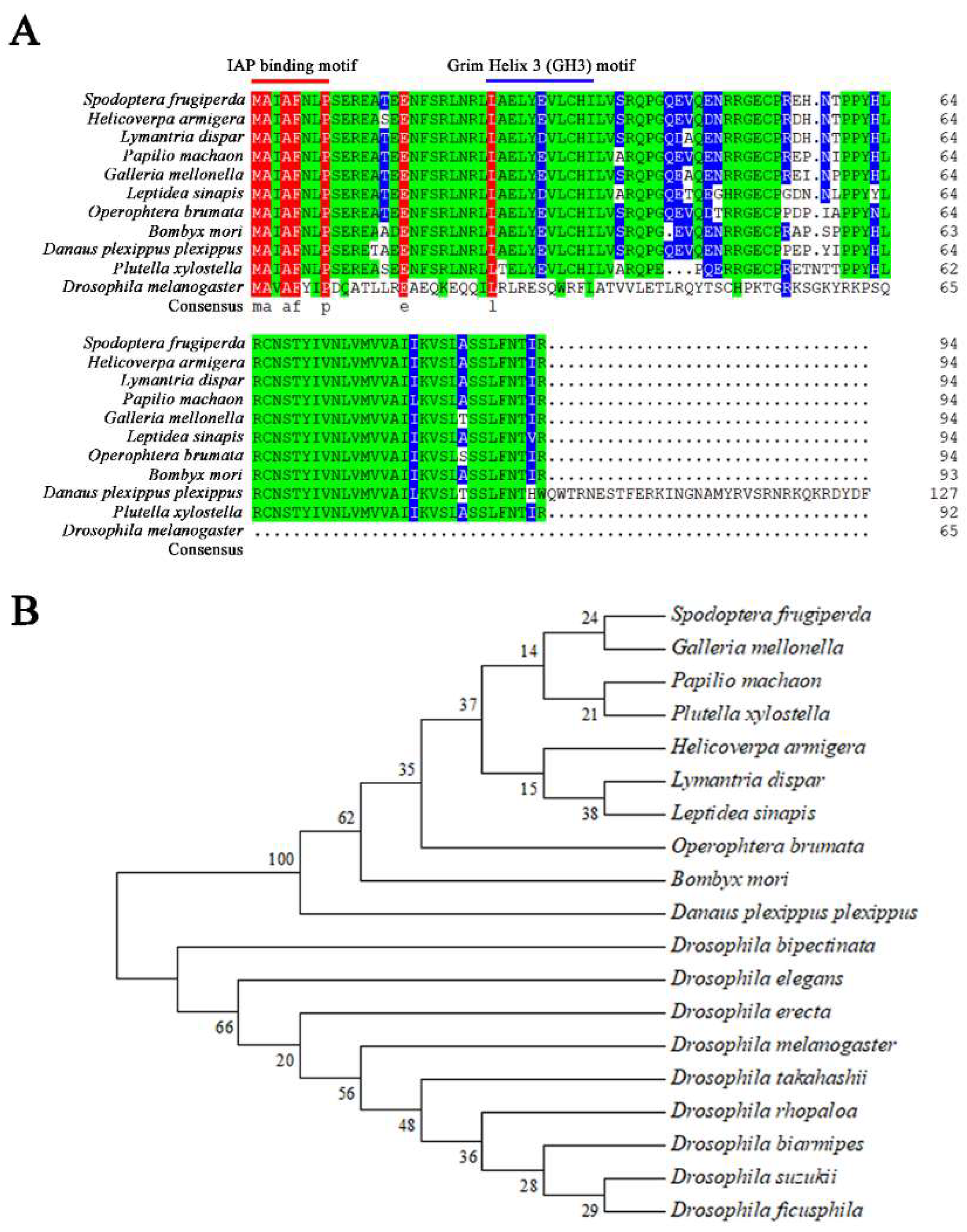 Ijms 21 02729 g001 Ijms 21 02729 g001