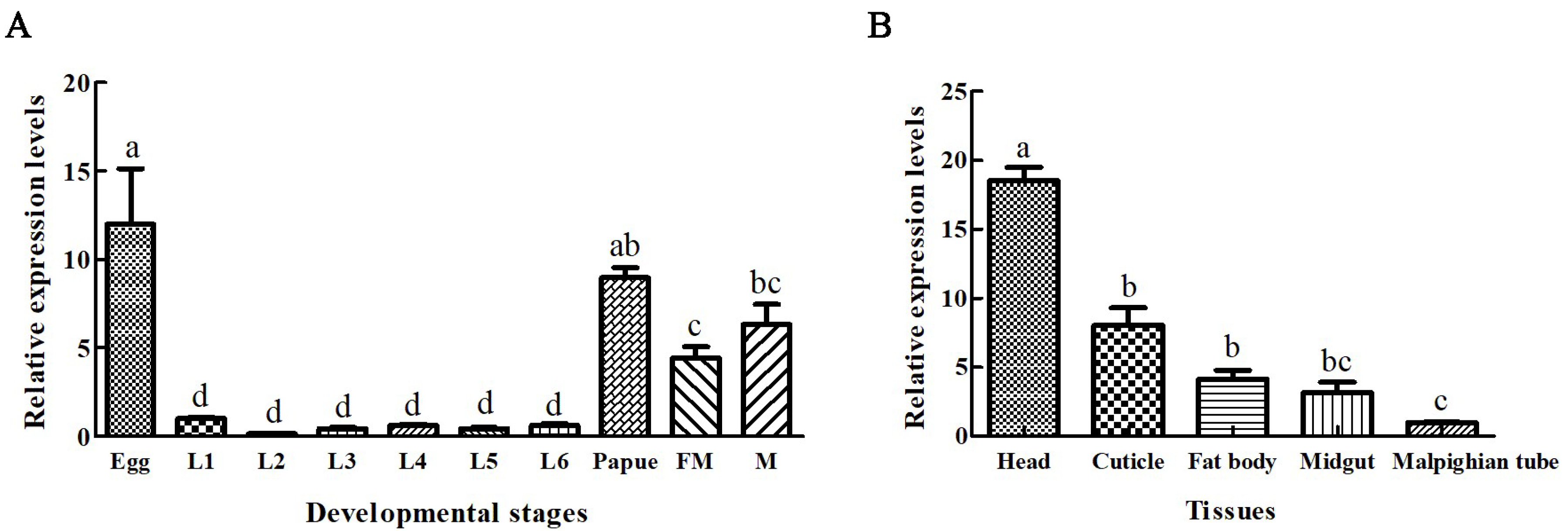 Ijms 21 02729 g002 Ijms 21 02729 g002