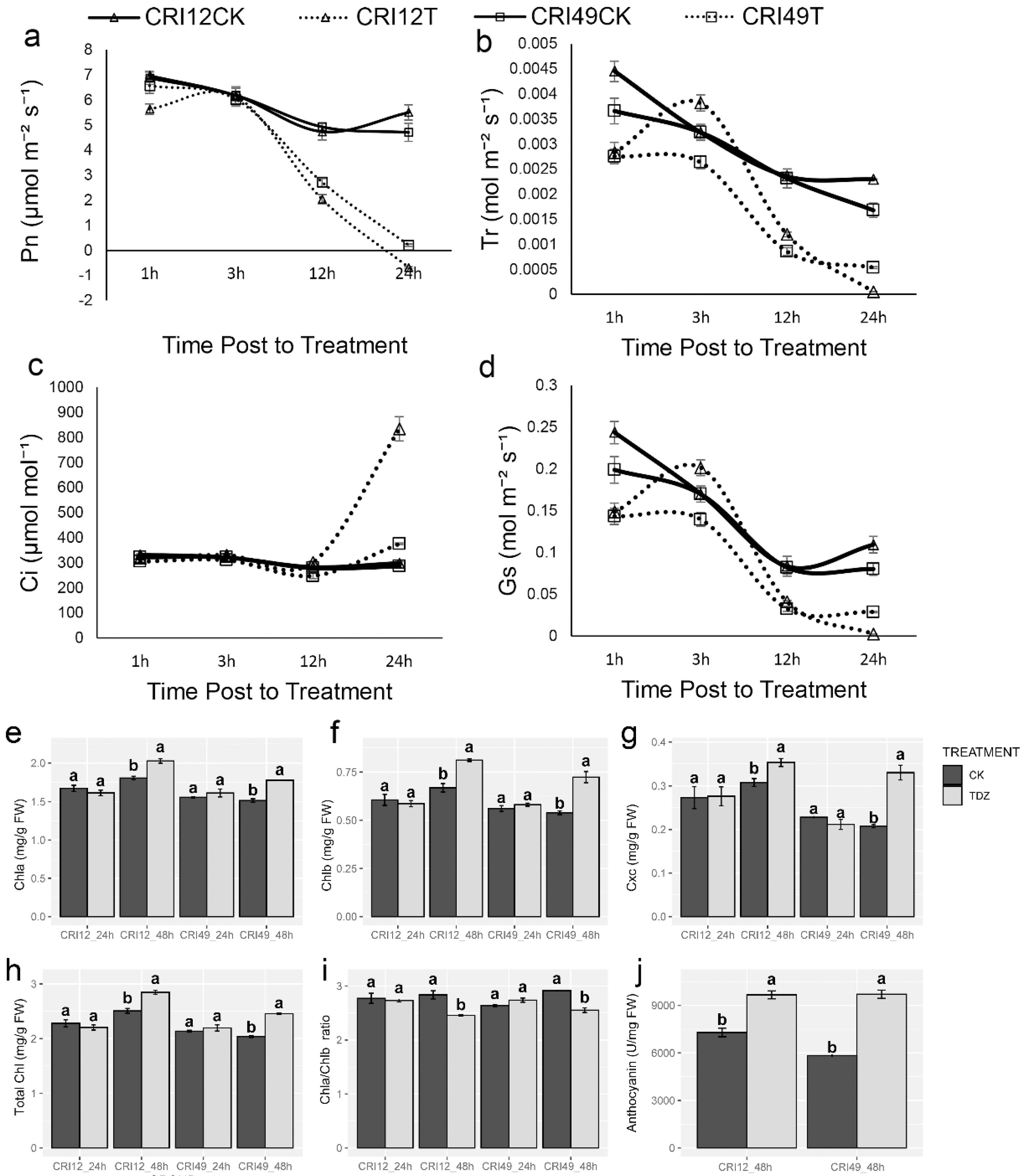 Ijms 21 02738 g003 Ijms 21 02738 g003