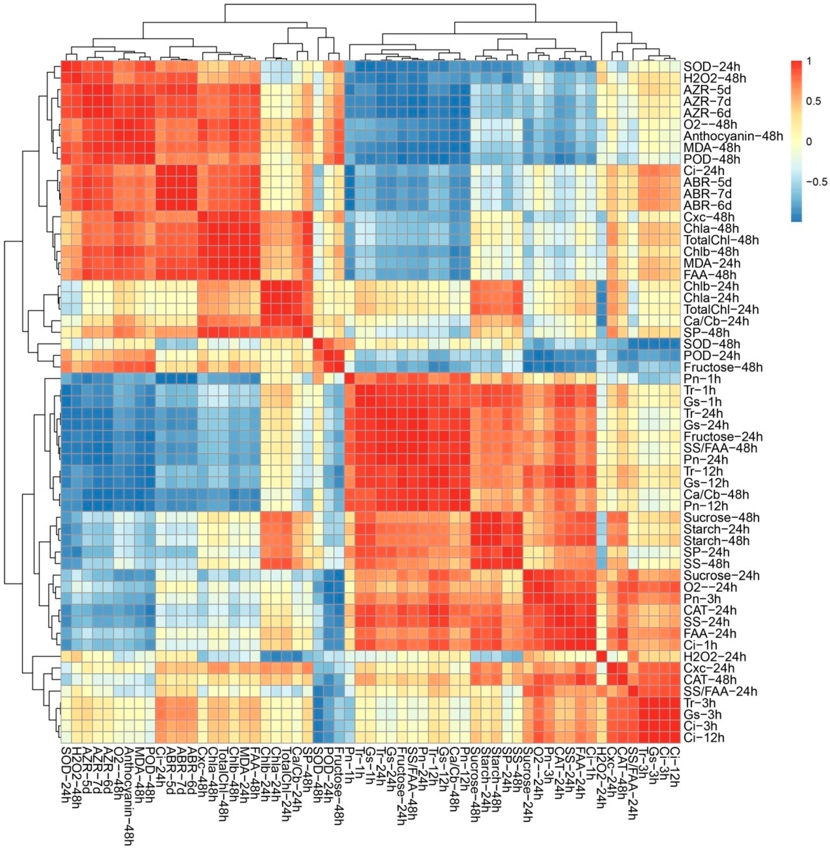 Ijms 21 02738 g005 Ijms 21 02738 g005