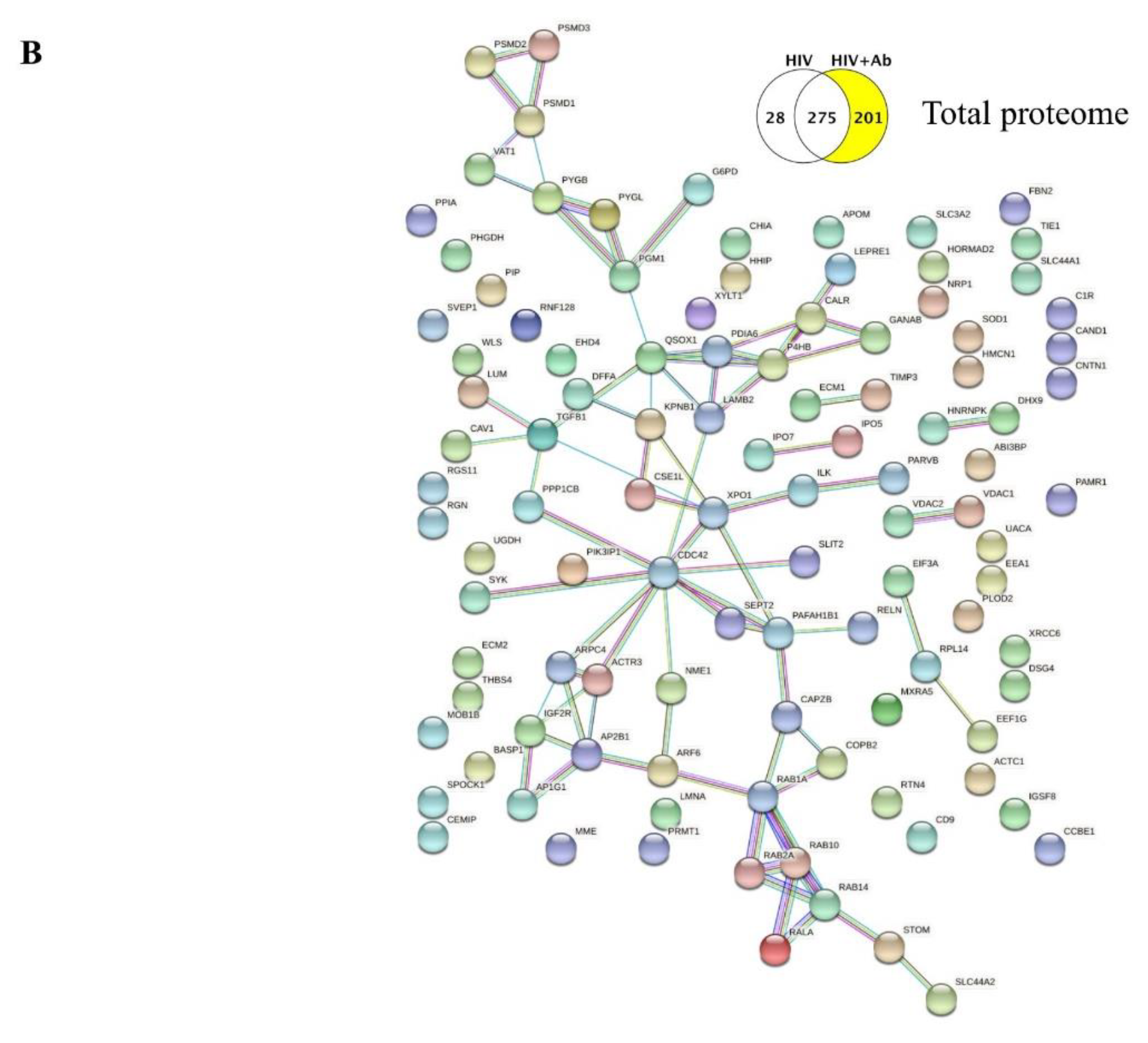 Ijms 21 02741 g004b Ijms 21 02741 g004b