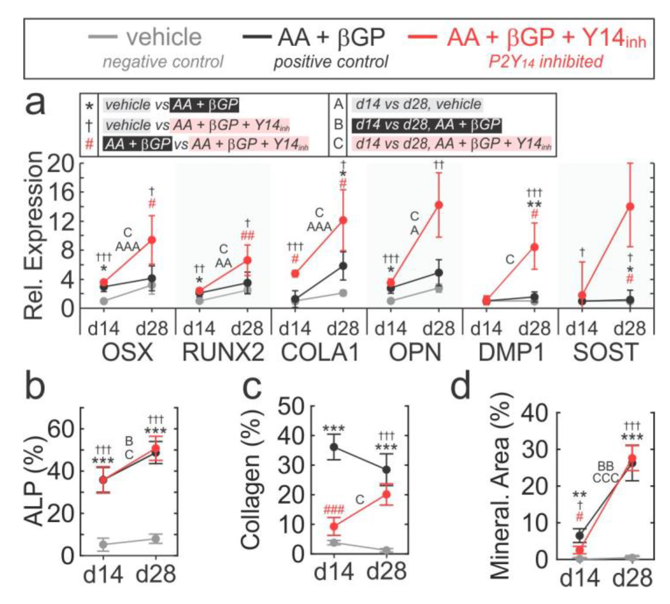 Ijms 21 02747 g005 Ijms 21 02747 g005