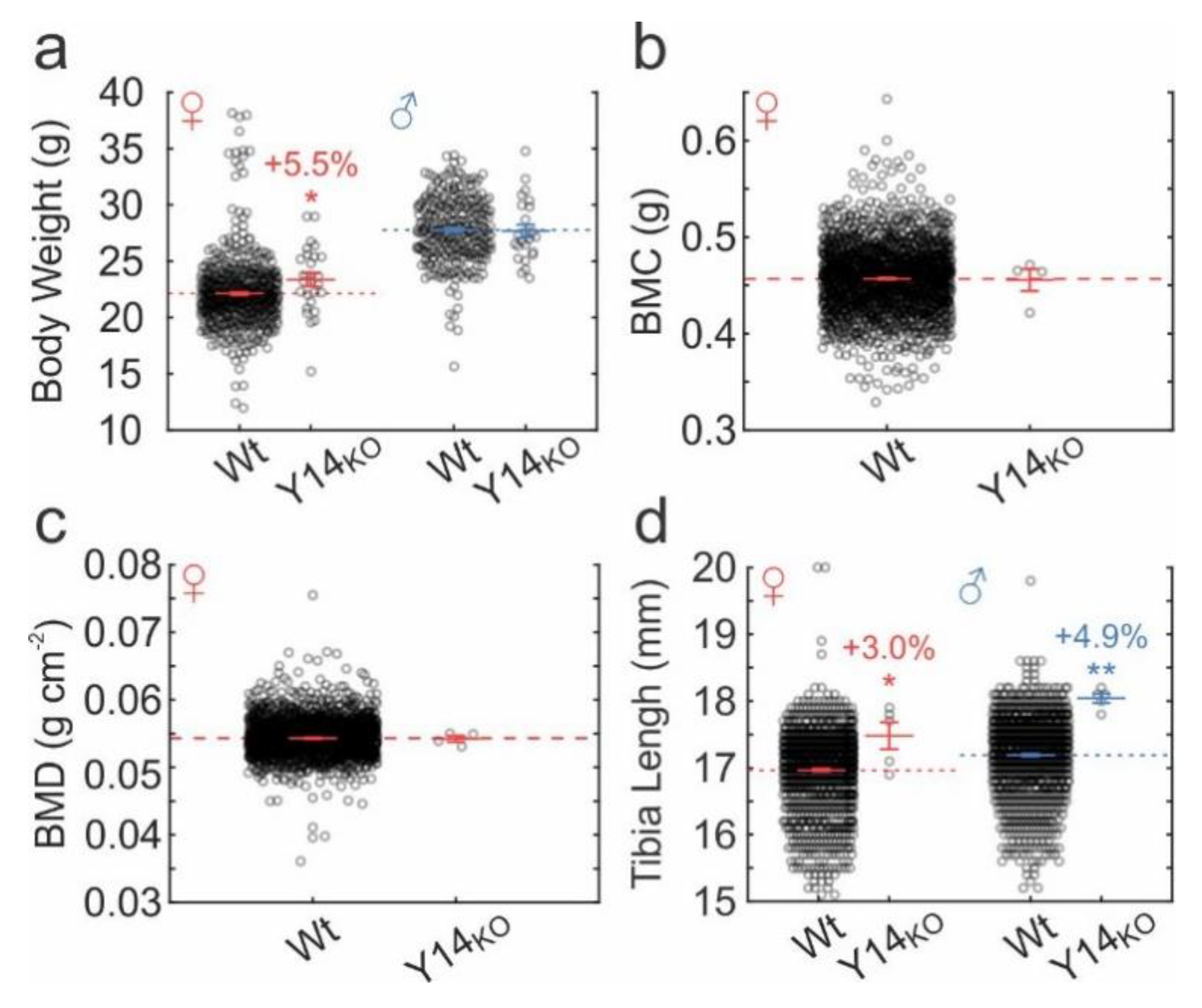 Ijms 21 02747 g006 Ijms 21 02747 g006