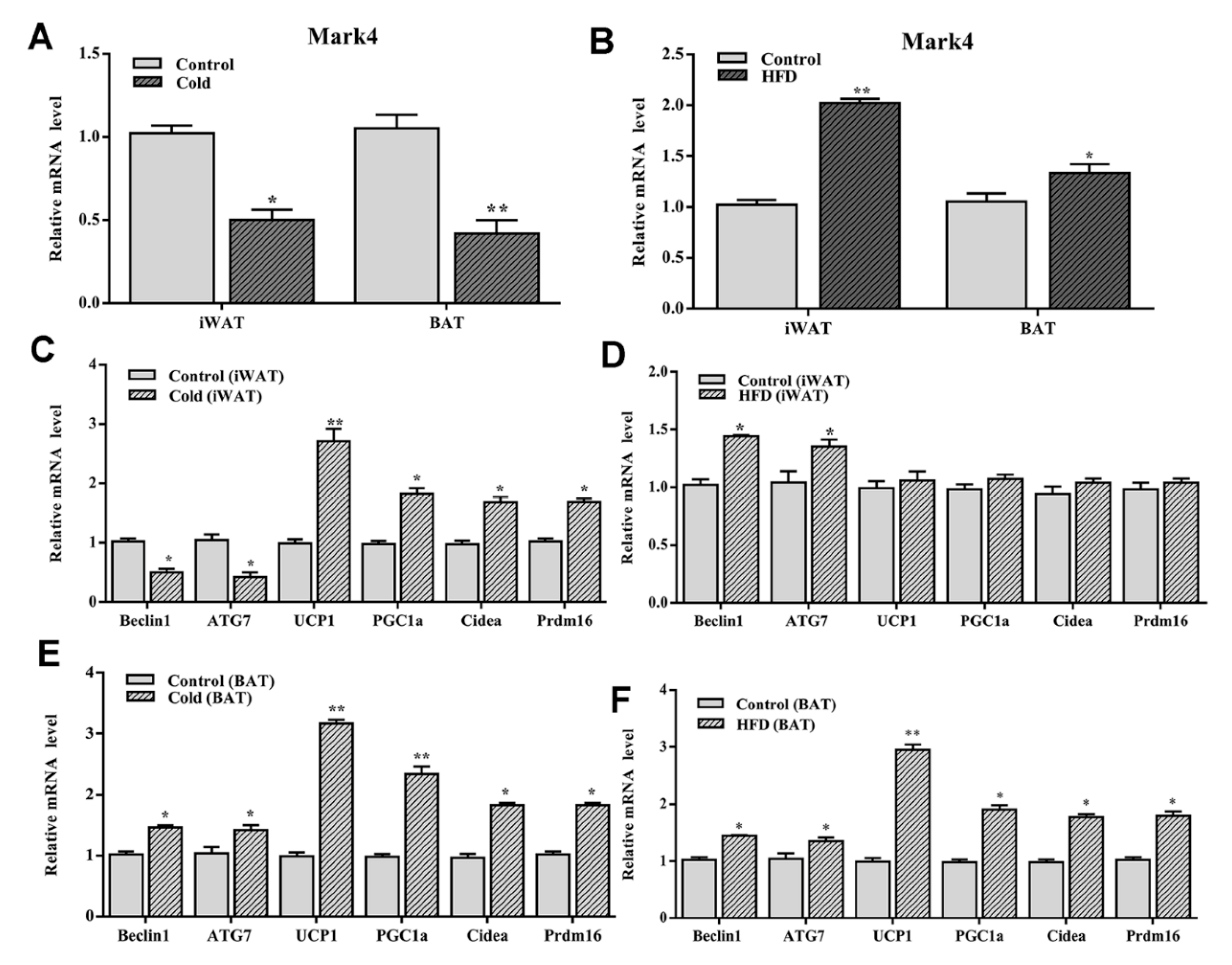 Ijms 21 02752 g008 Ijms 21 02752 g008