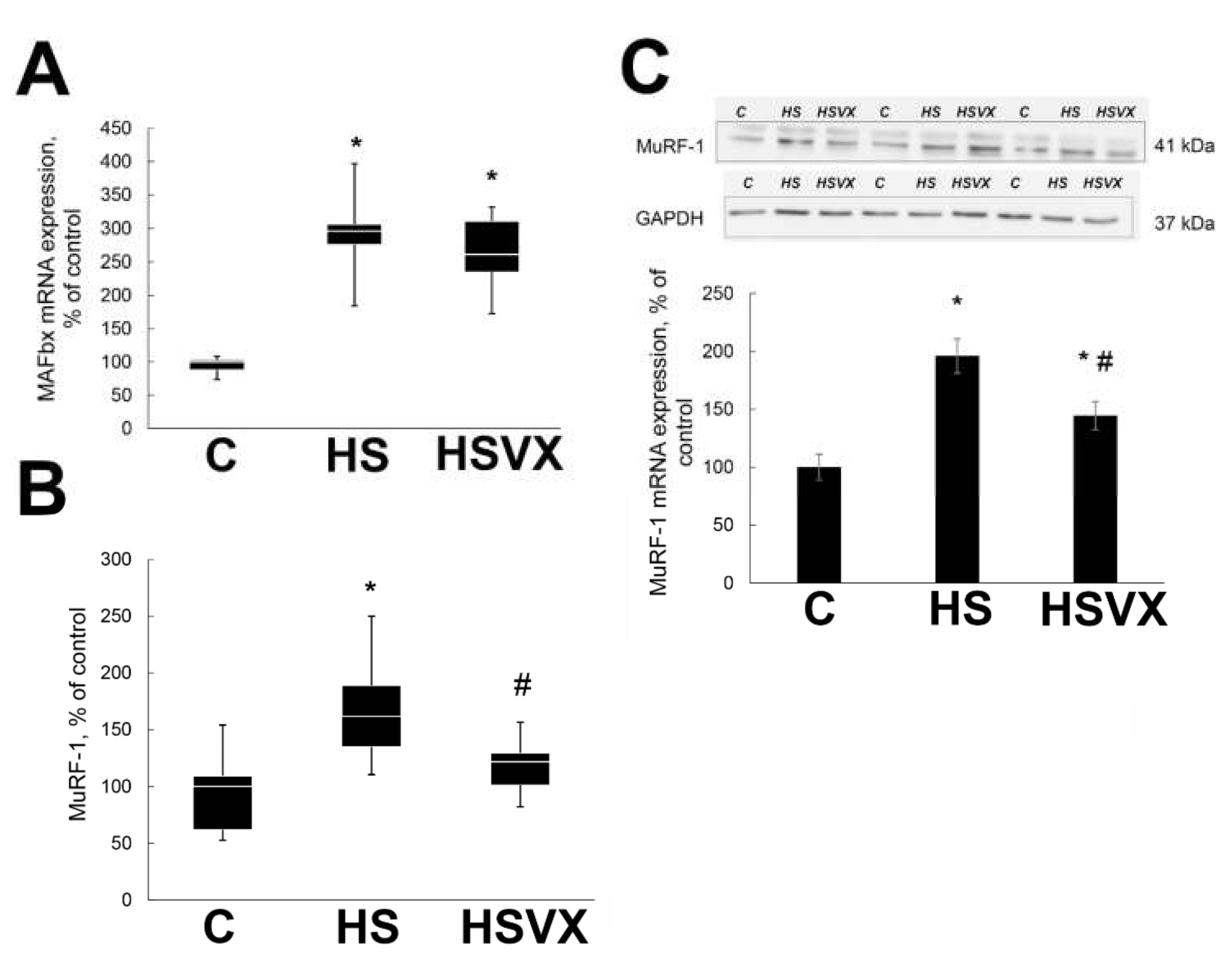 Ijms 21 02756 g004 Ijms 21 02756 g004