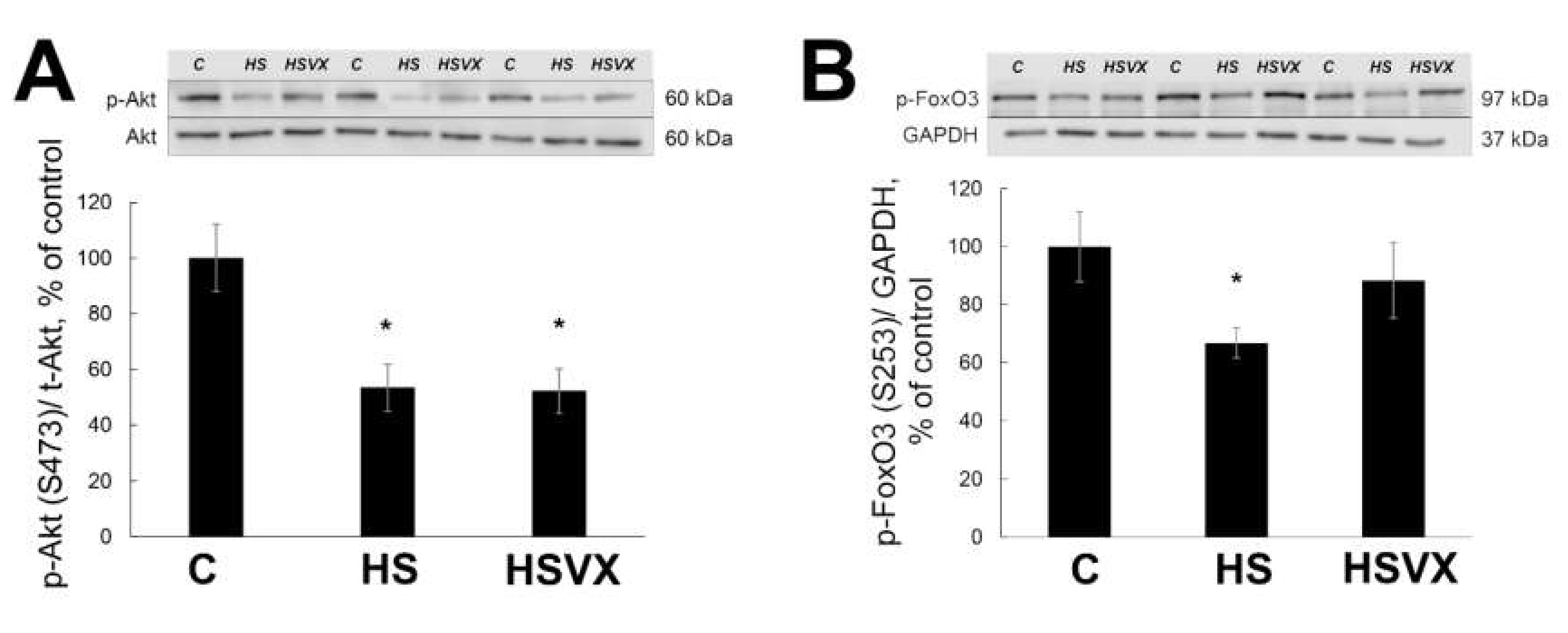 Ijms 21 02756 g005 Ijms 21 02756 g005
