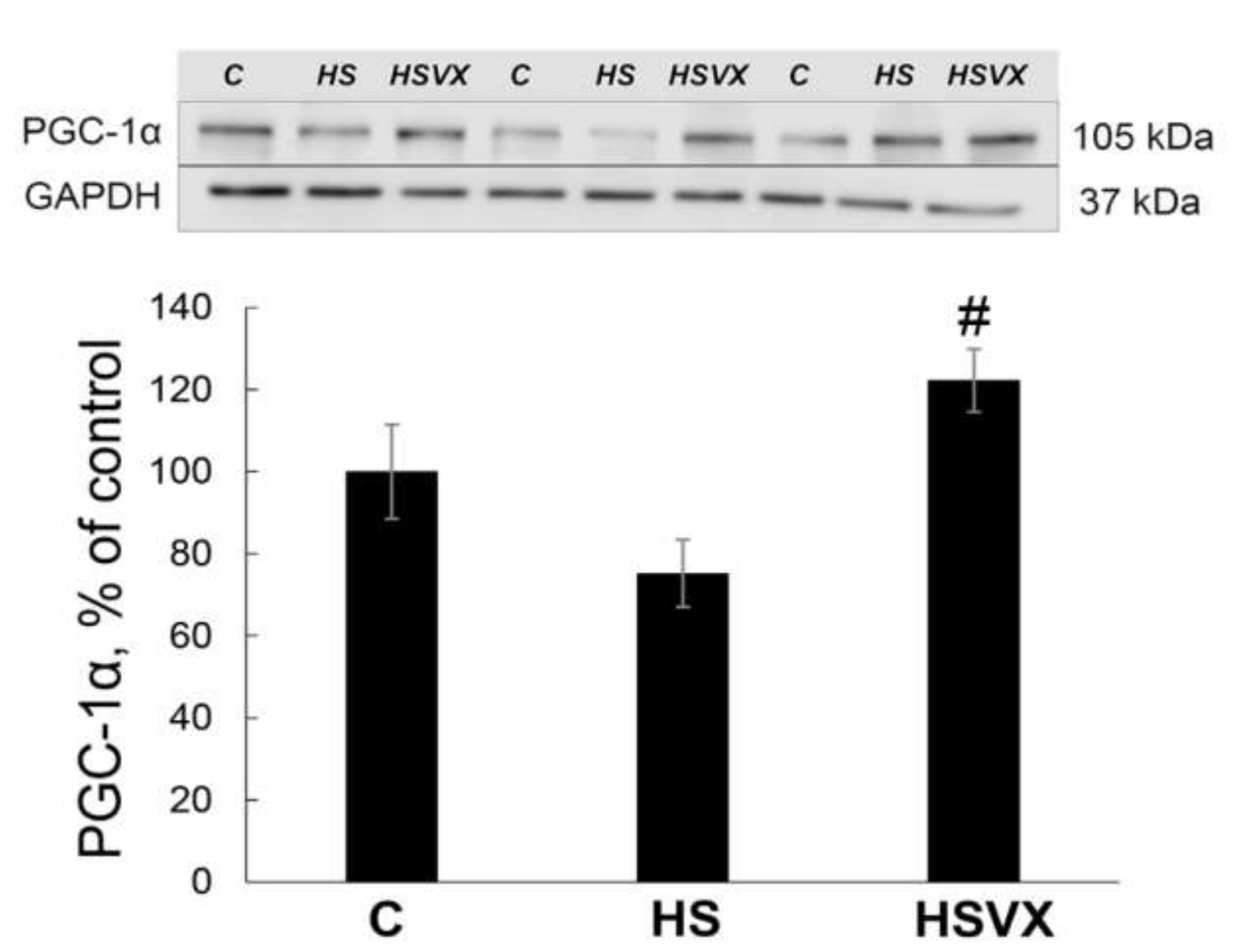 Ijms 21 02756 g006 Ijms 21 02756 g006