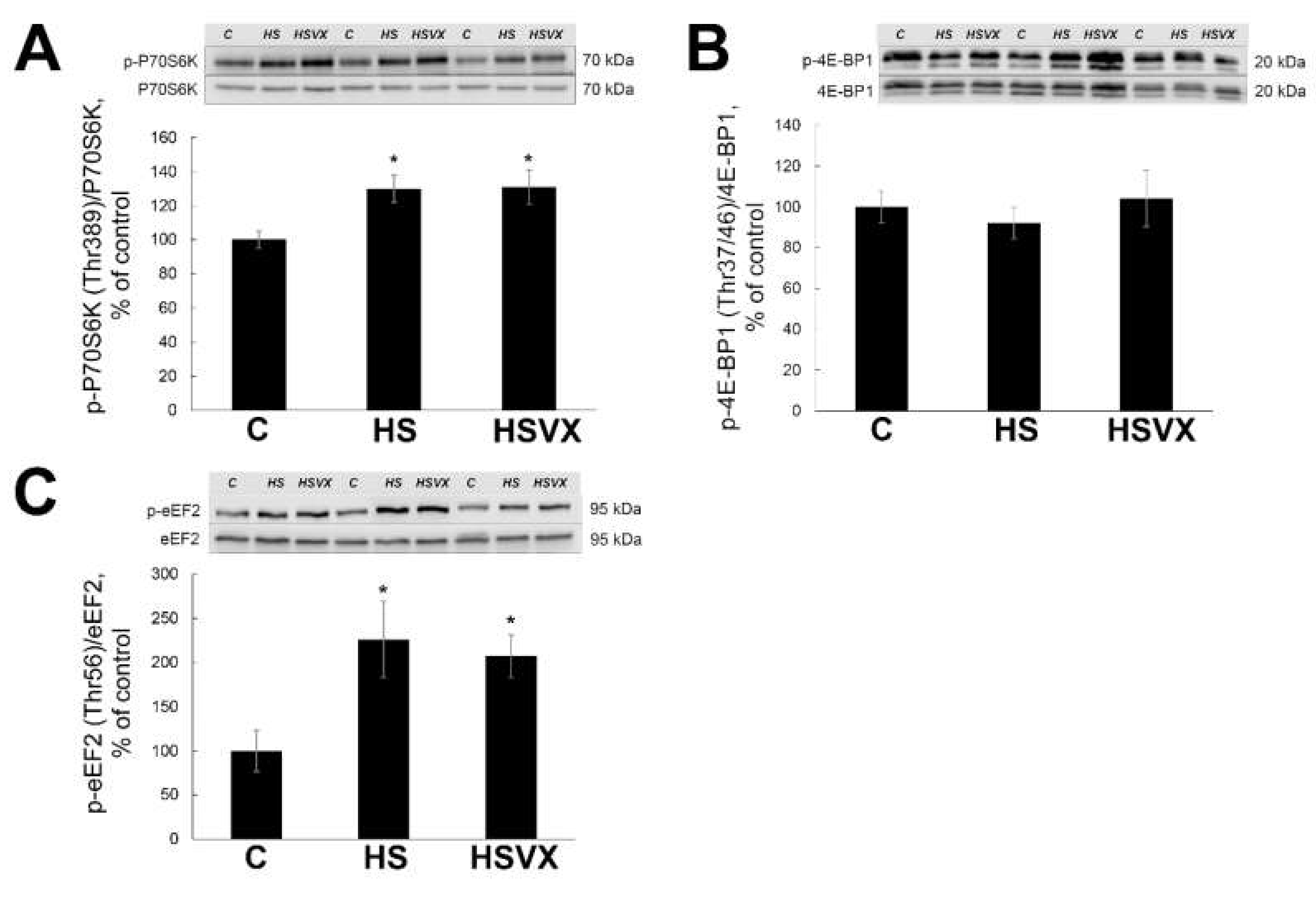 Ijms 21 02756 g008 Ijms 21 02756 g008