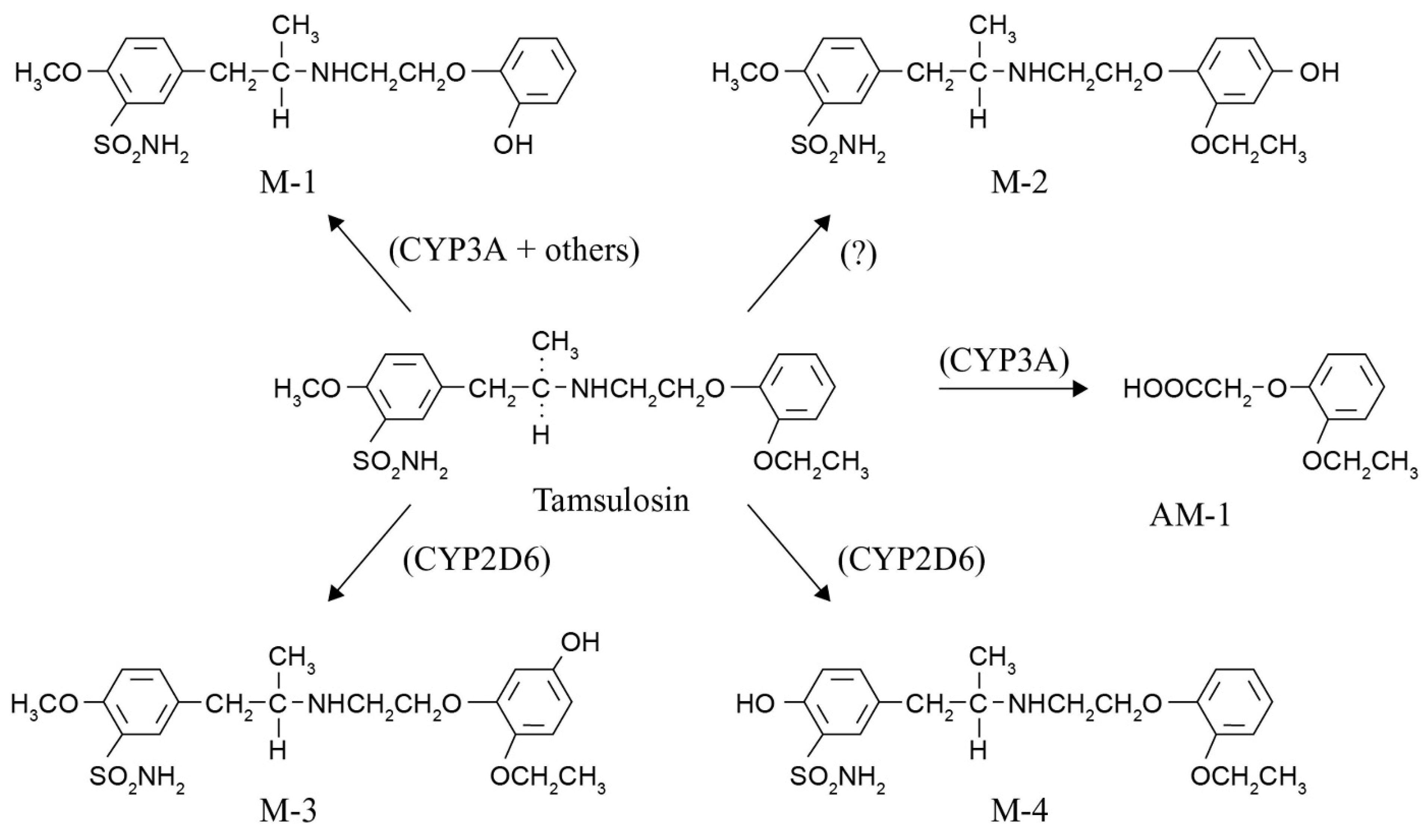 Ijms 21 02770 g001 Ijms 21 02770 g001