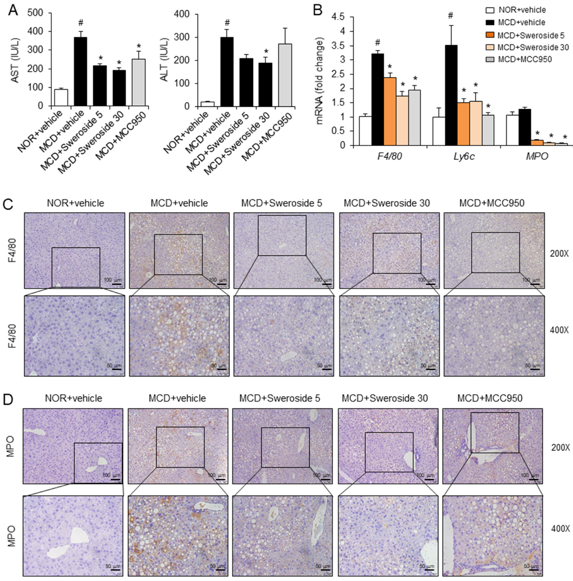Ijms 21 02790 g003 Ijms 21 02790 g003