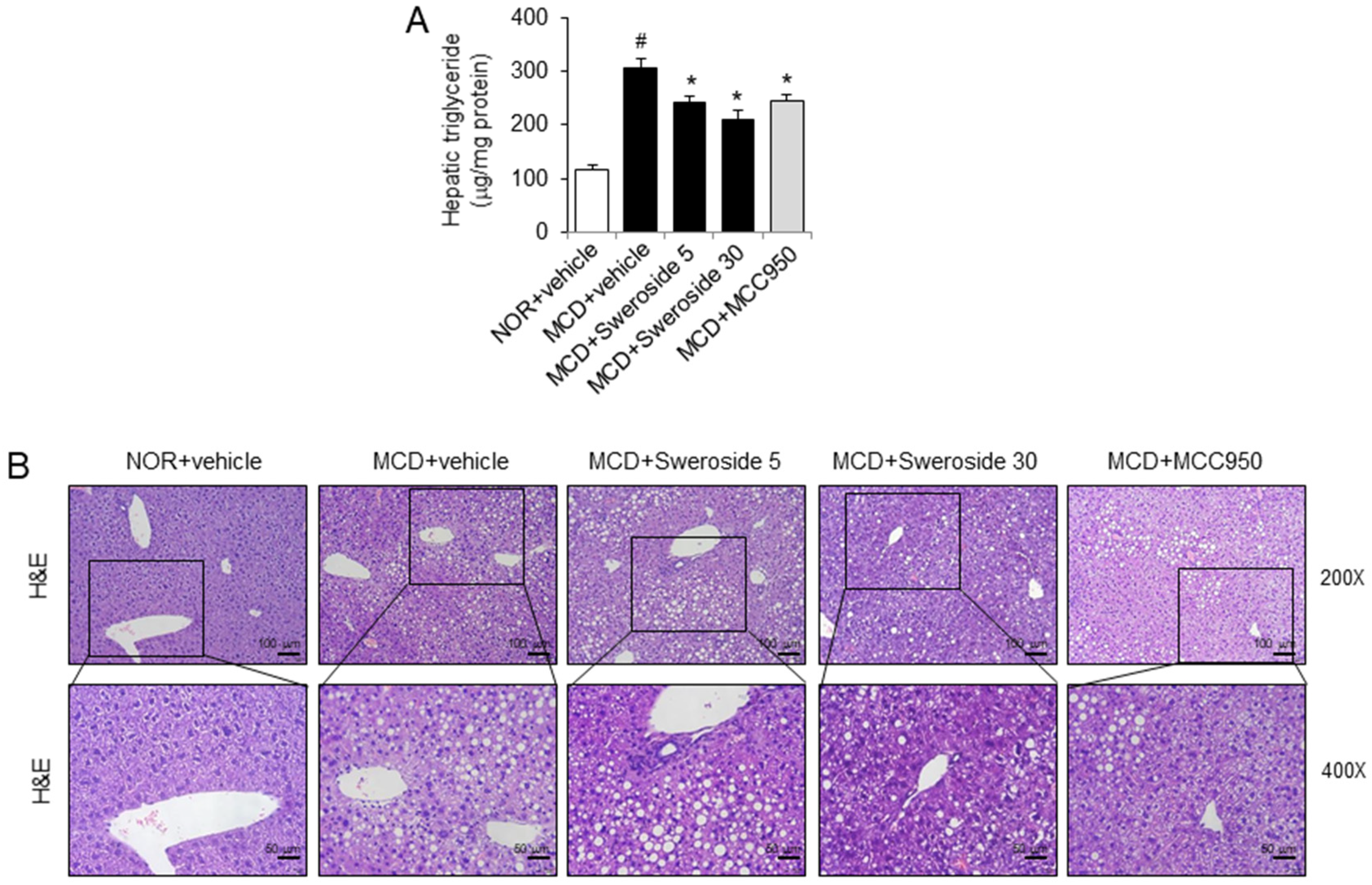 Ijms 21 02790 g004 Ijms 21 02790 g004