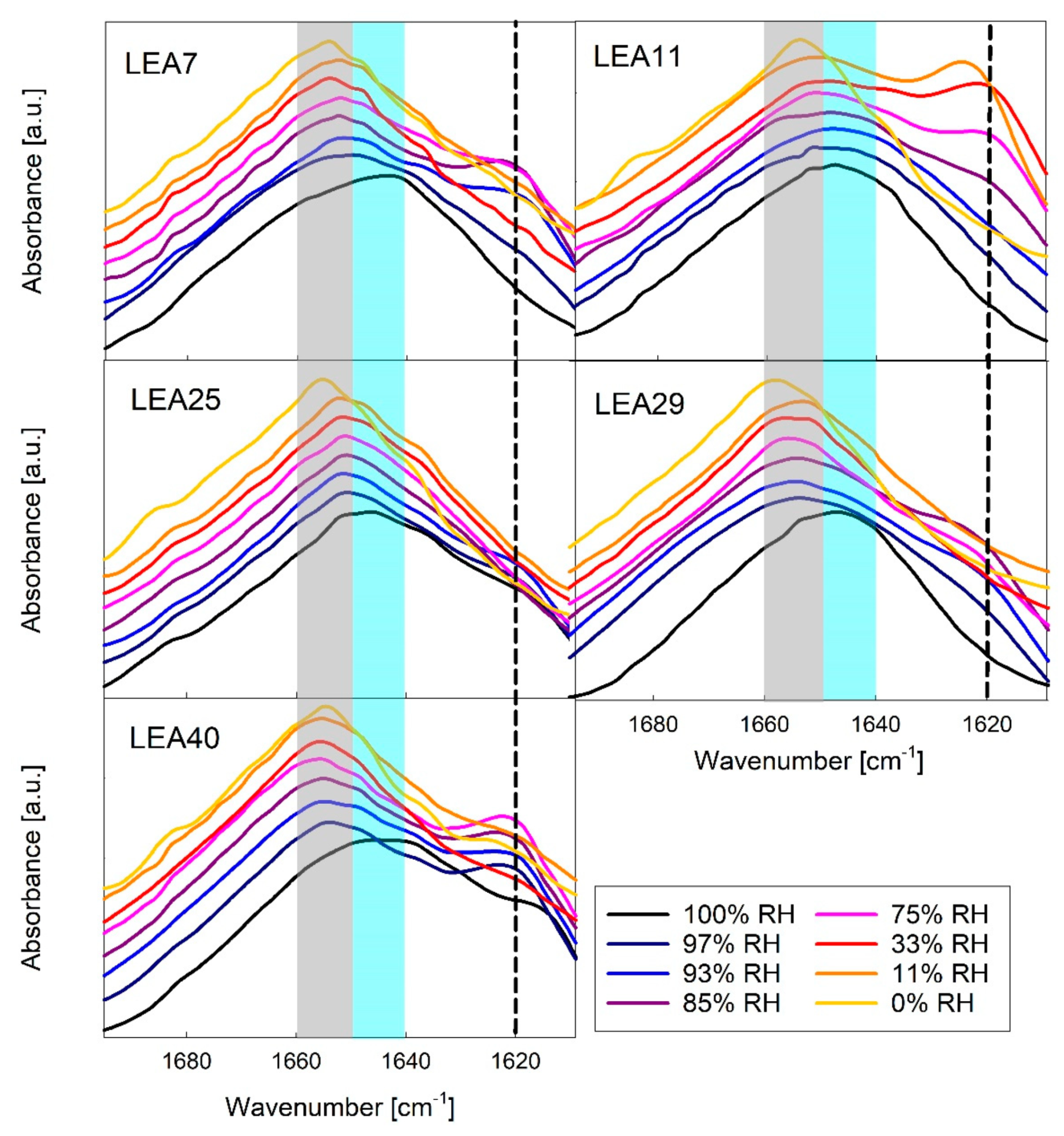 Ijms 21 02794 g006 Ijms 21 02794 g006