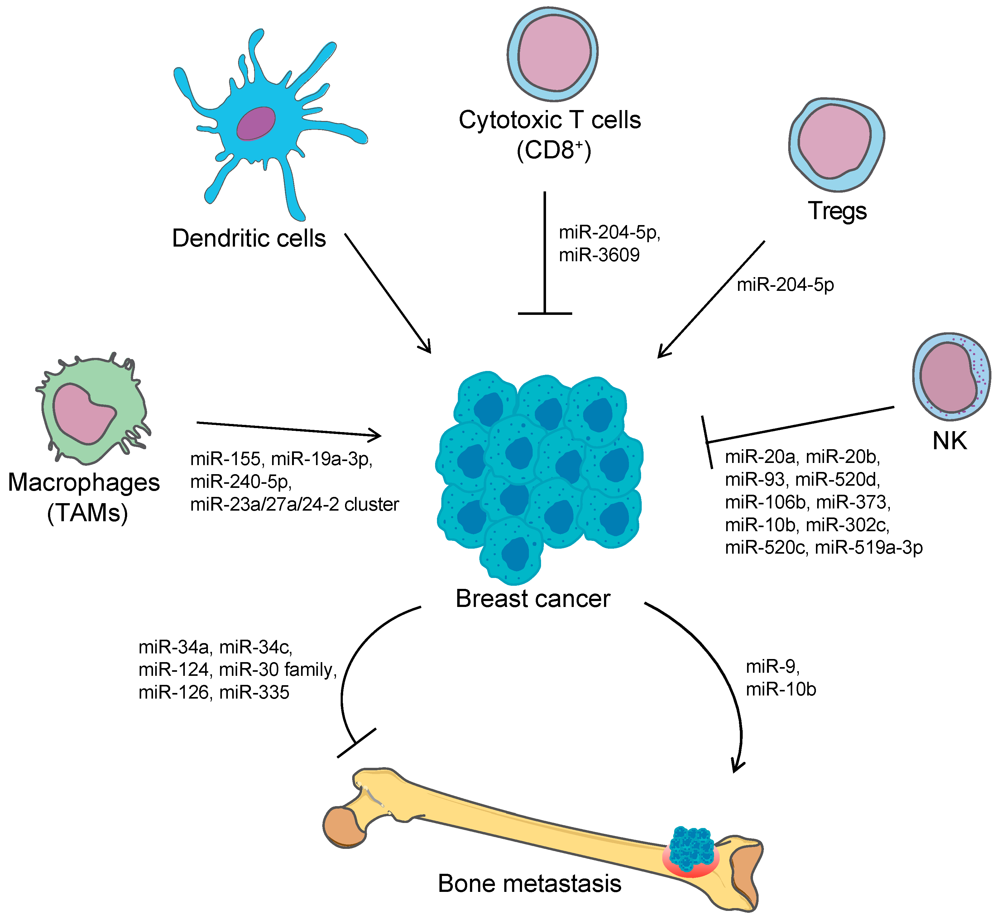 can radiation cure pancreatic cancer