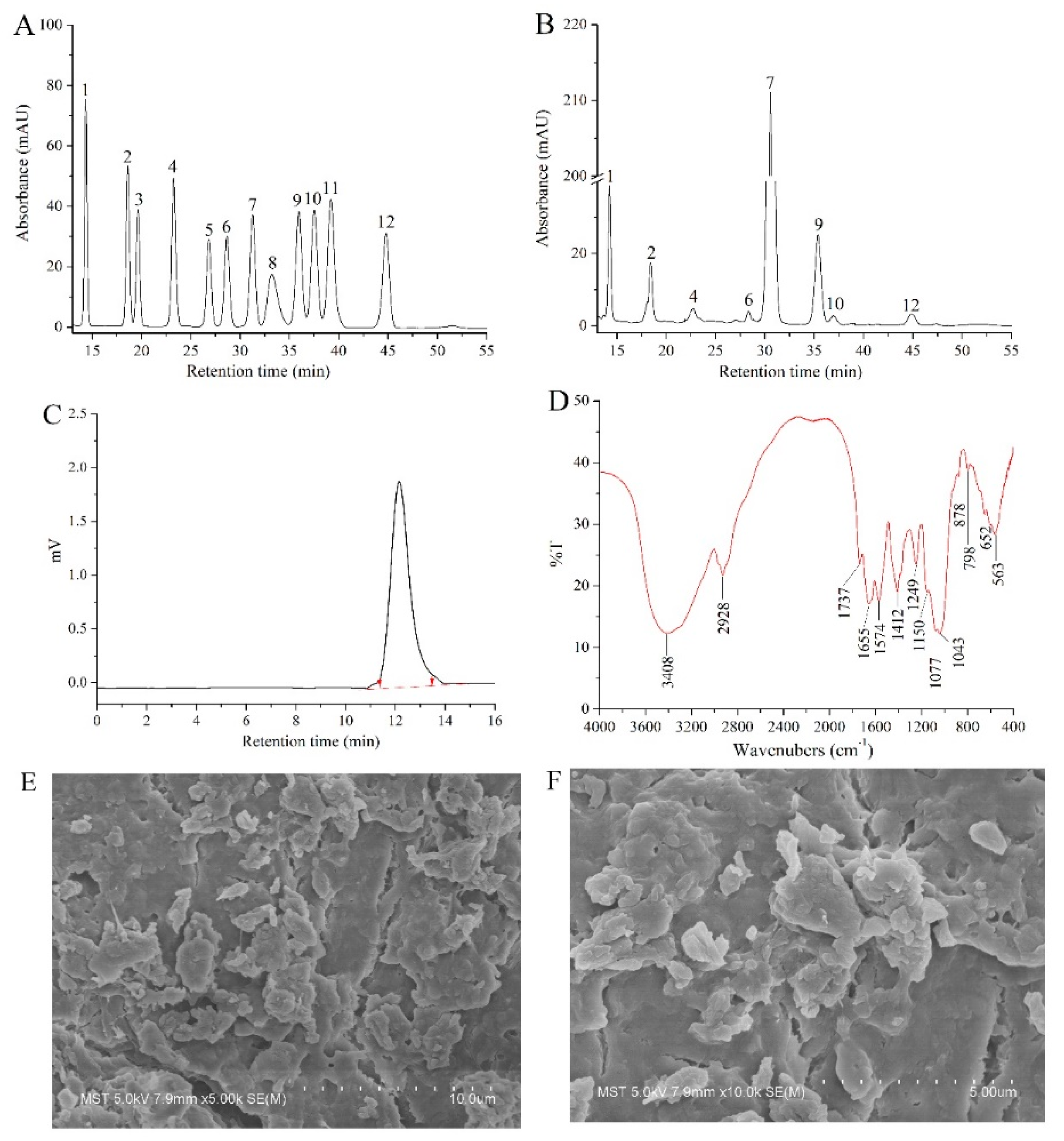 Ijms 21 02810 g002 Ijms 21 02810 g002