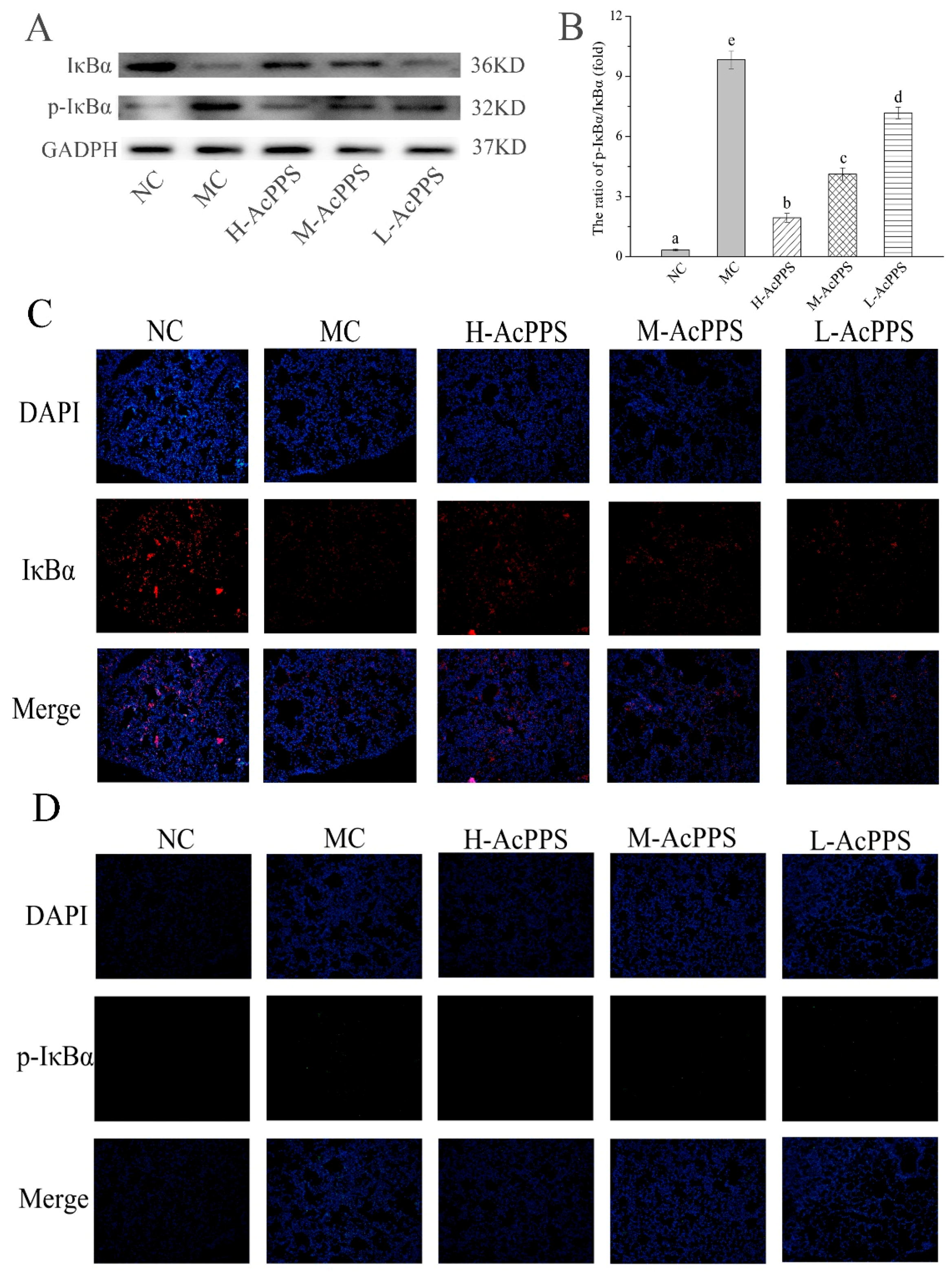 Ijms 21 02810 g006 Ijms 21 02810 g006