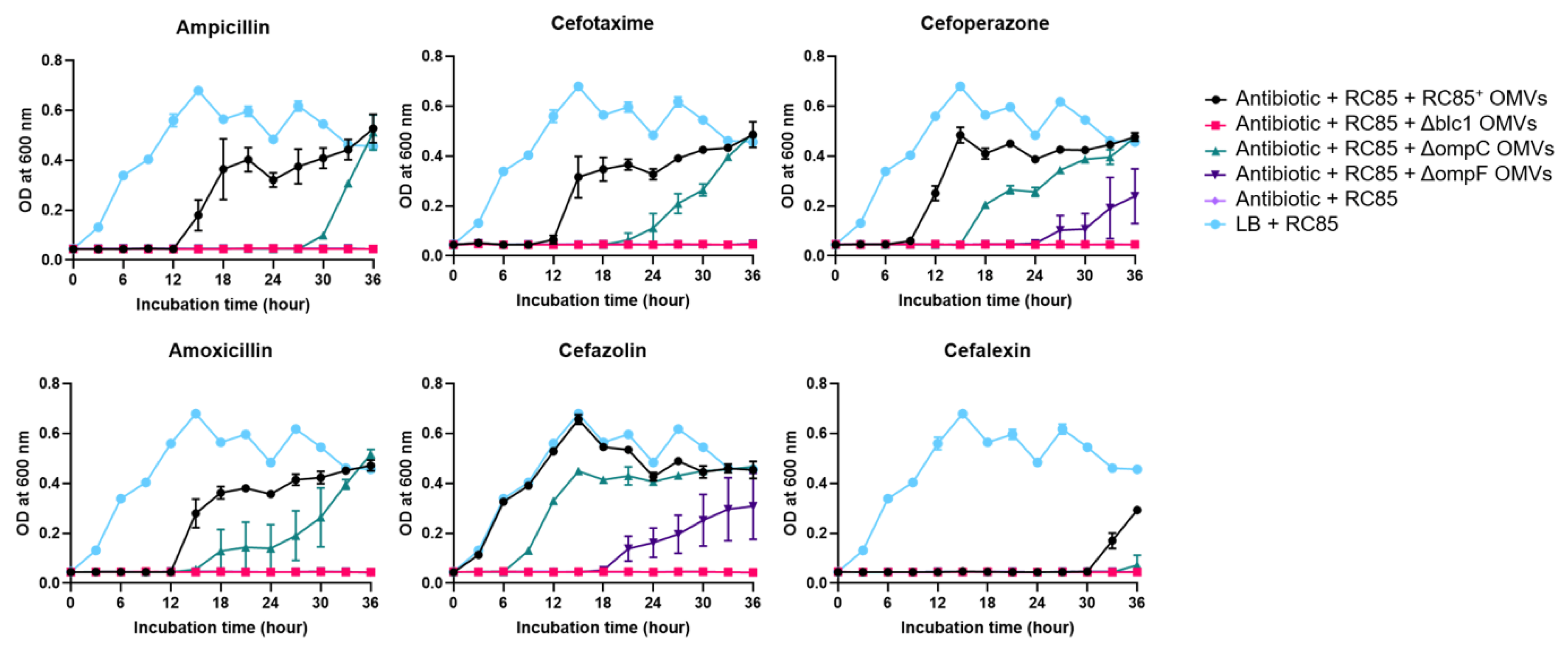 Ijms 21 02822 g005 Ijms 21 02822 g005