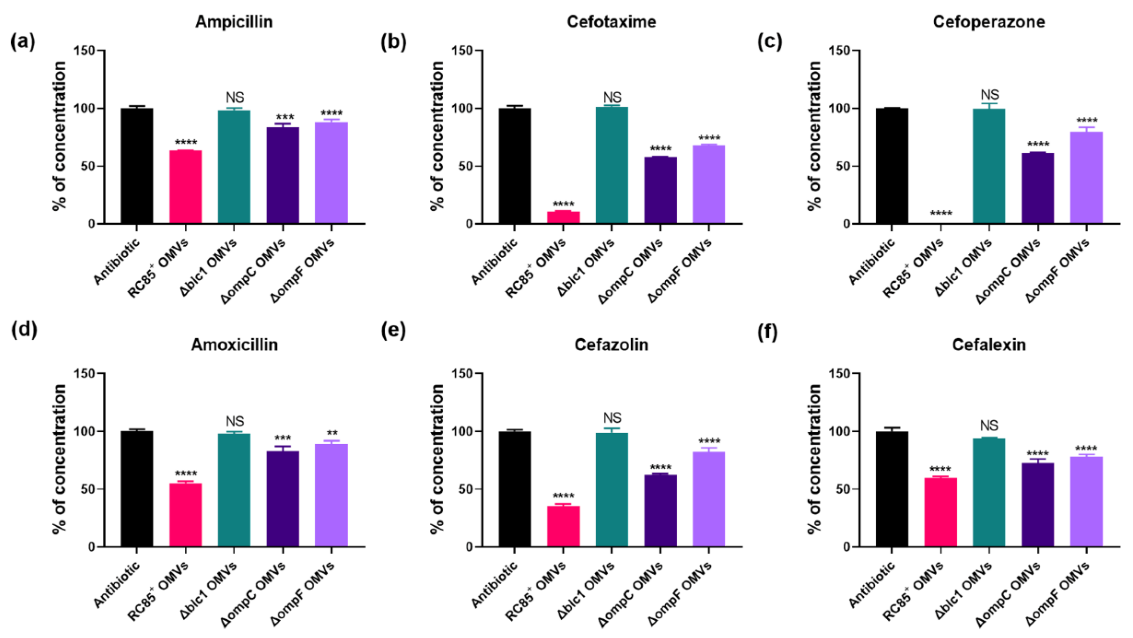 Ijms 21 02822 g006 Ijms 21 02822 g006