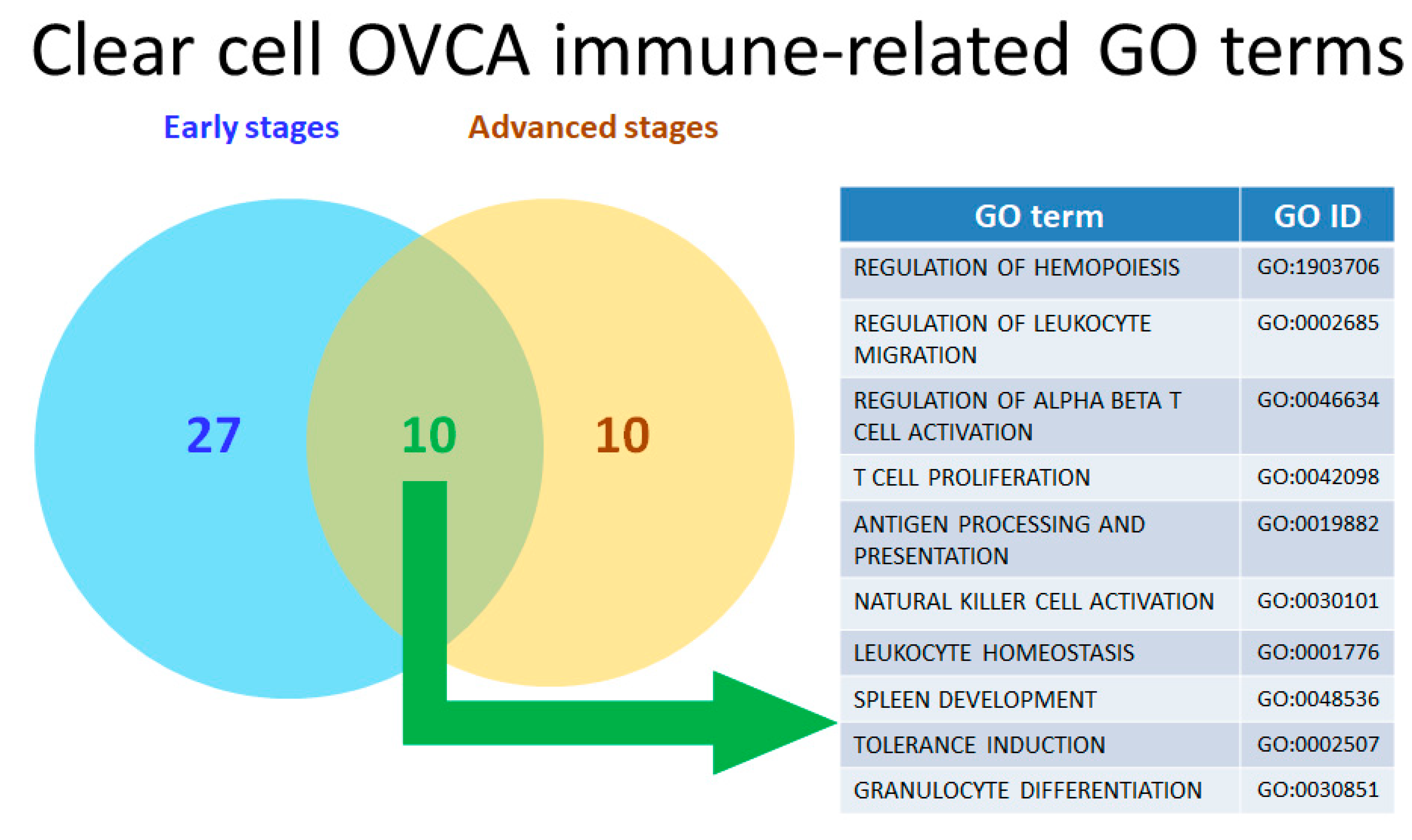 Ijms 21 02824 g004 Ijms 21 02824 g004