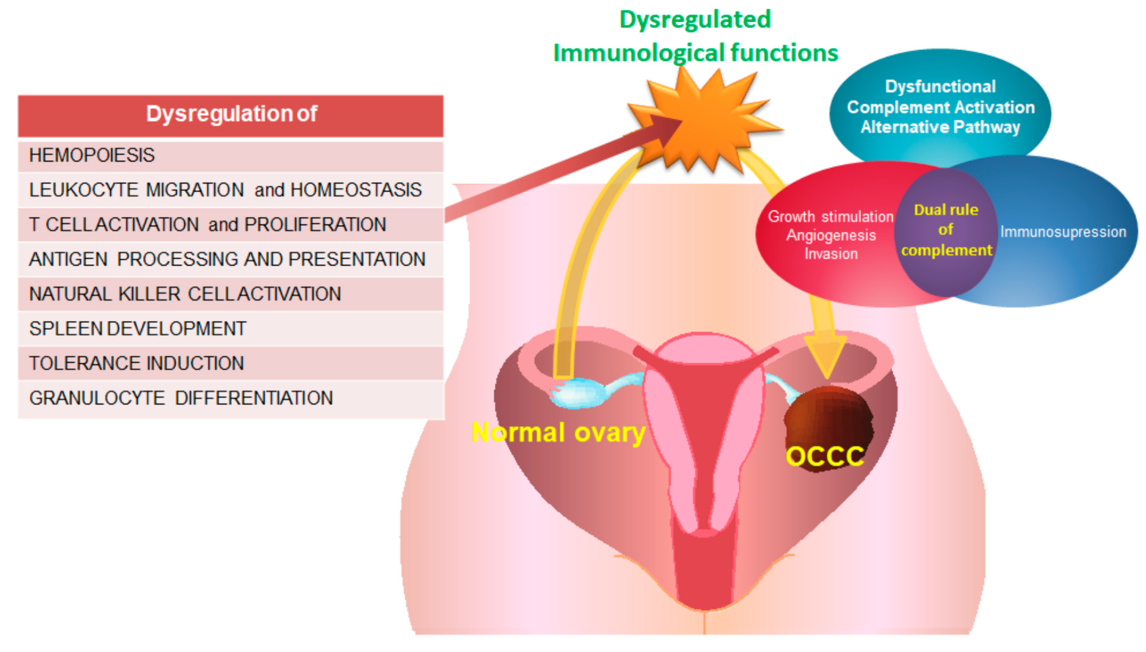 Ijms 21 02824 g008 Ijms 21 02824 g008