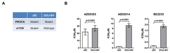 Synergistic Effects of Combination Therapy with AKT and mTOR Inhibitors ...