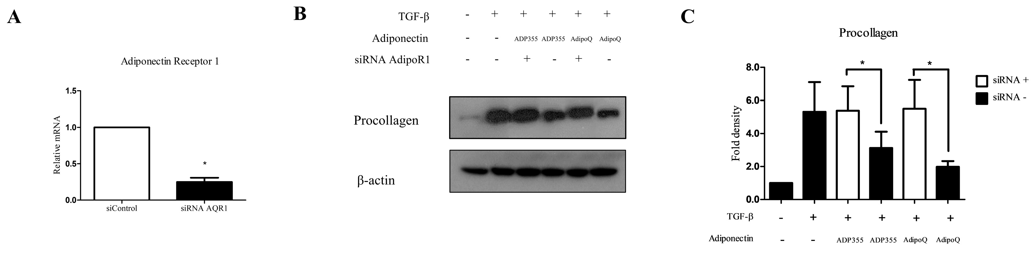 Ijms 21 02833 g004 Ijms 21 02833 g004