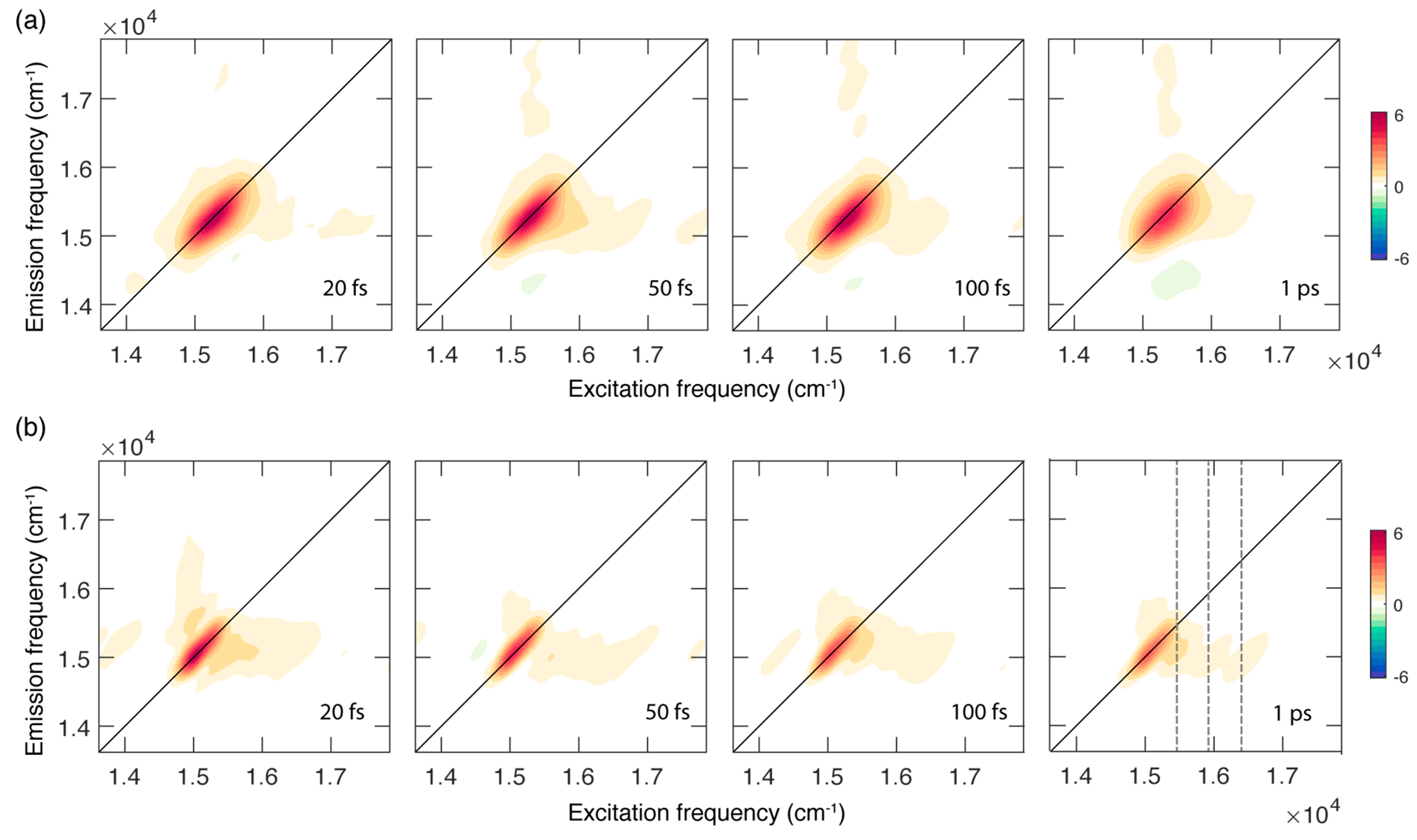 Ijms 21 02836 g002 Ijms 21 02836 g002