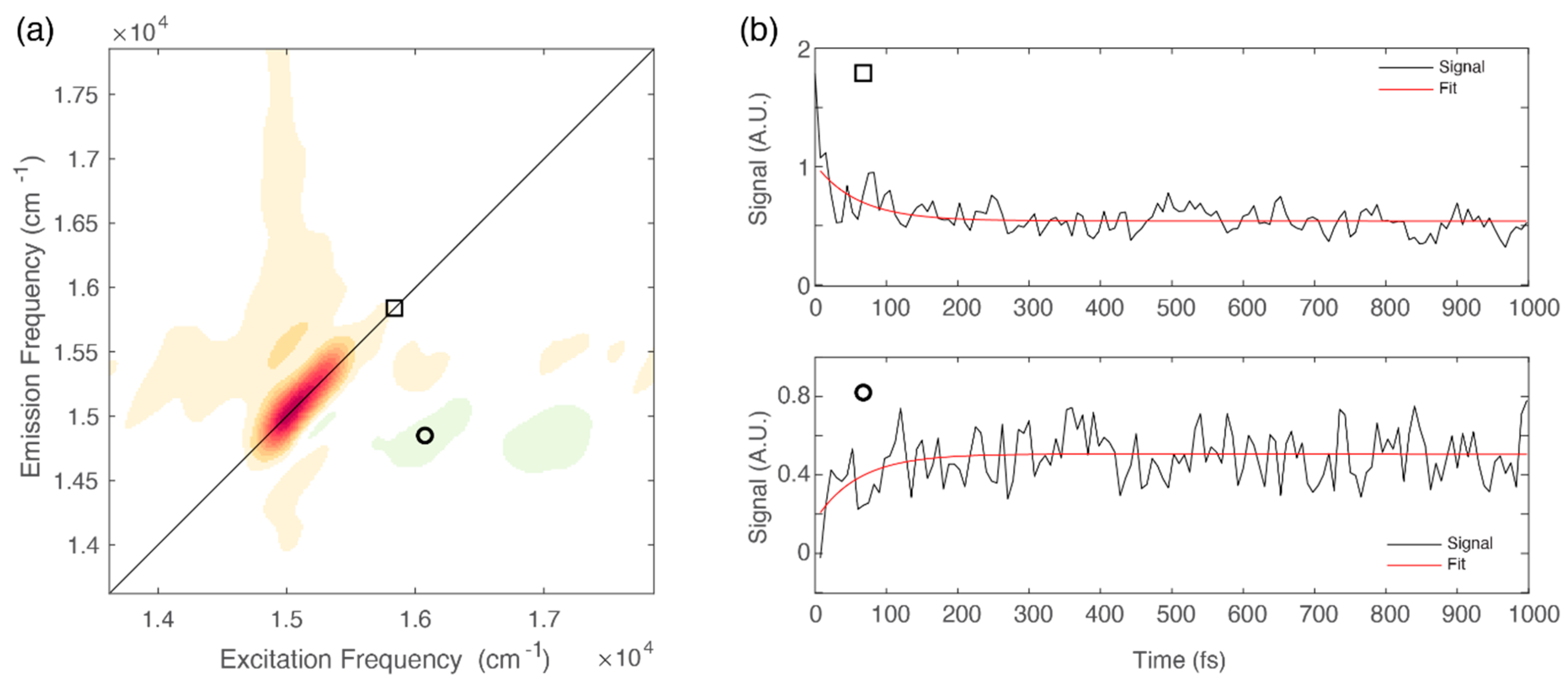 Ijms 21 02836 g004 Ijms 21 02836 g004