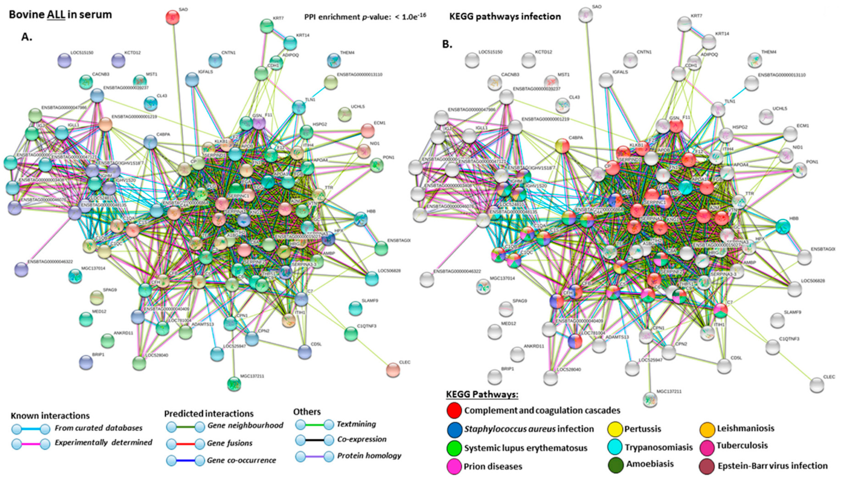 Ijms 21 02861 g004a Ijms 21 02861 g004a