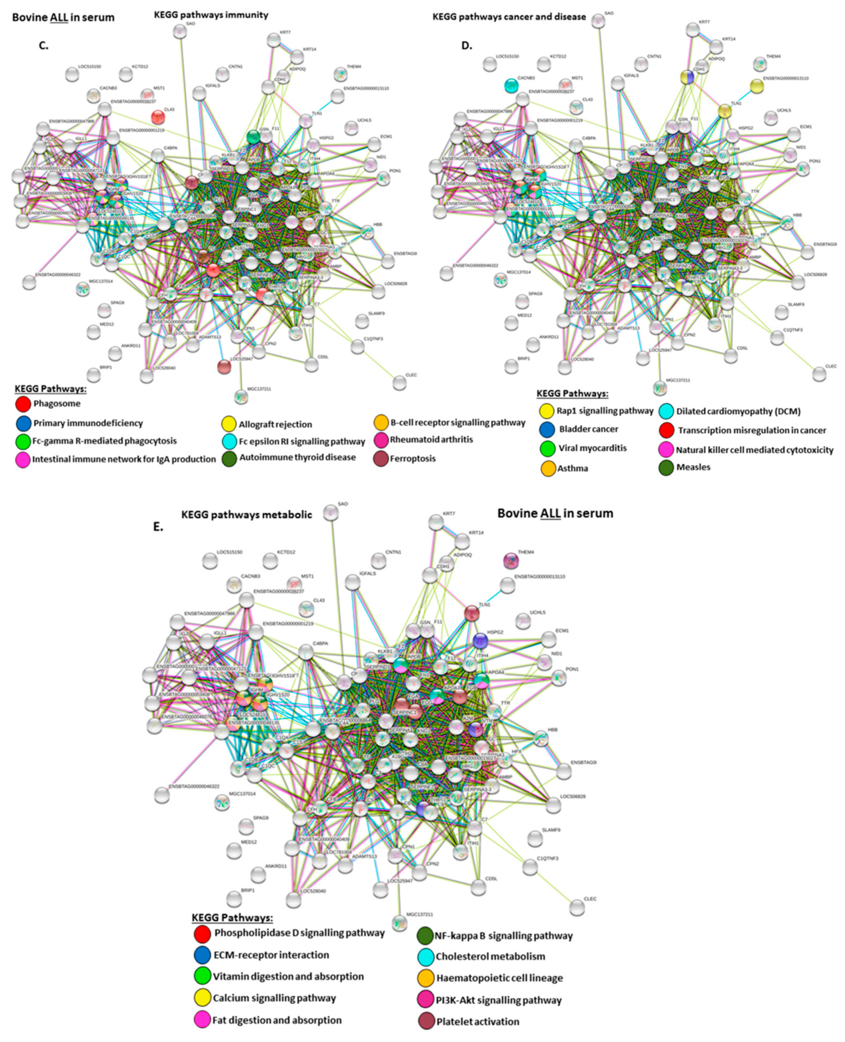 Ijms 21 02861 g004b Ijms 21 02861 g004b