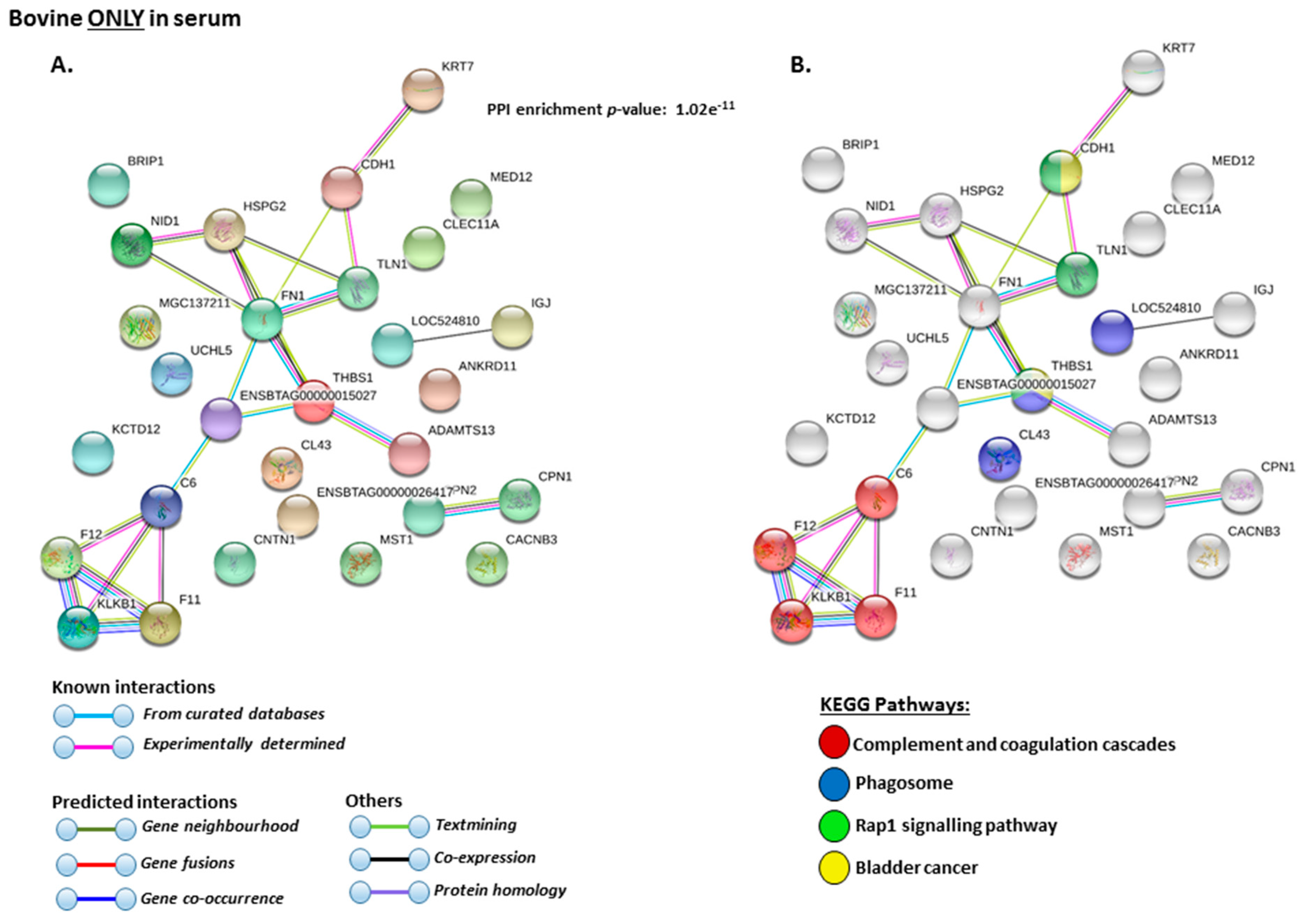 Ijms Free Full Text Post Translational Protein Deimination Signatures In Serum And Serum Extracellular Vesicles Of Bos Taurus Reveal Immune Anti Pathogenic Anti Viral Metabolic And Cancer Related Pathways For Deimination Html