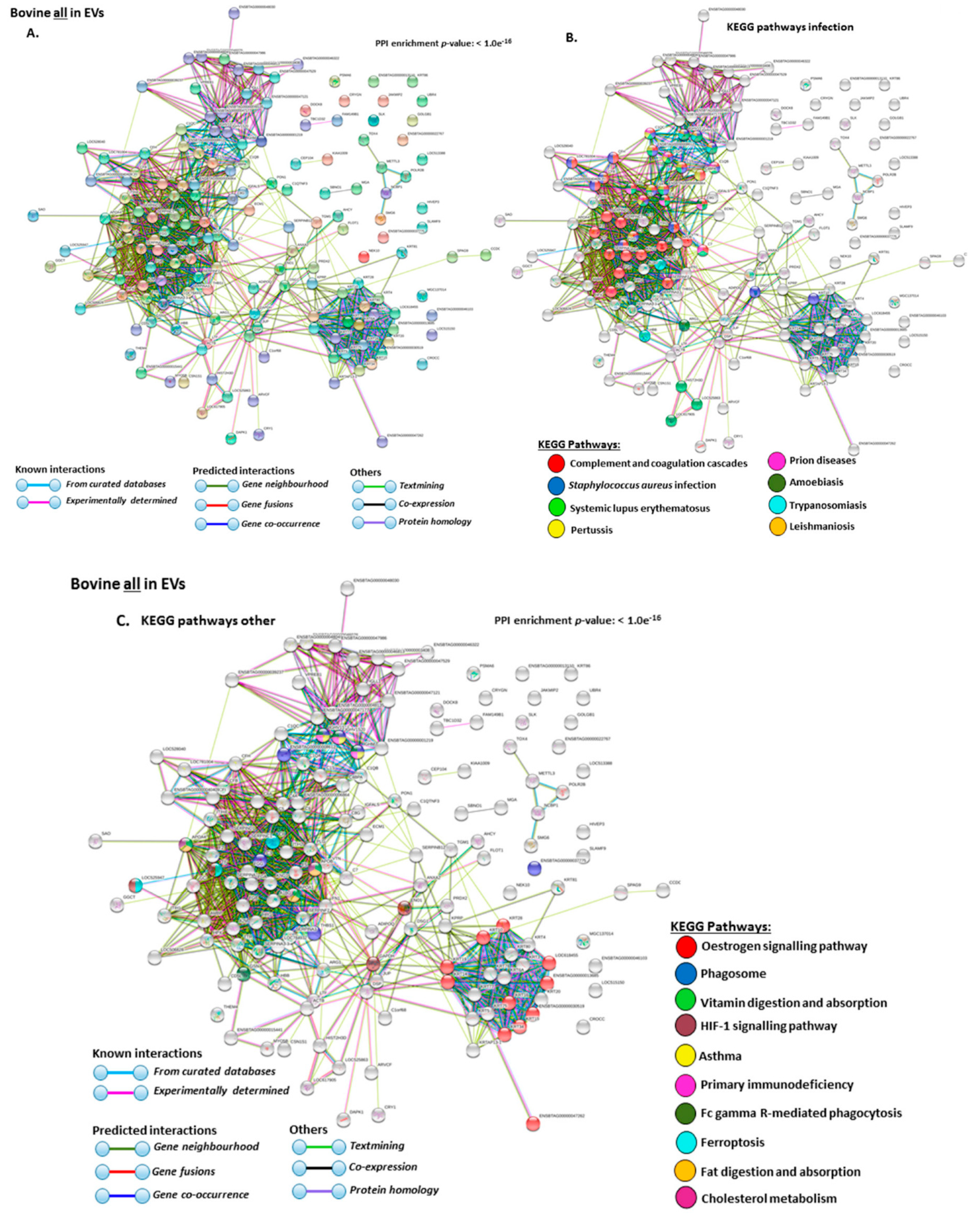 Ijms 21 02861 g006 Ijms 21 02861 g006