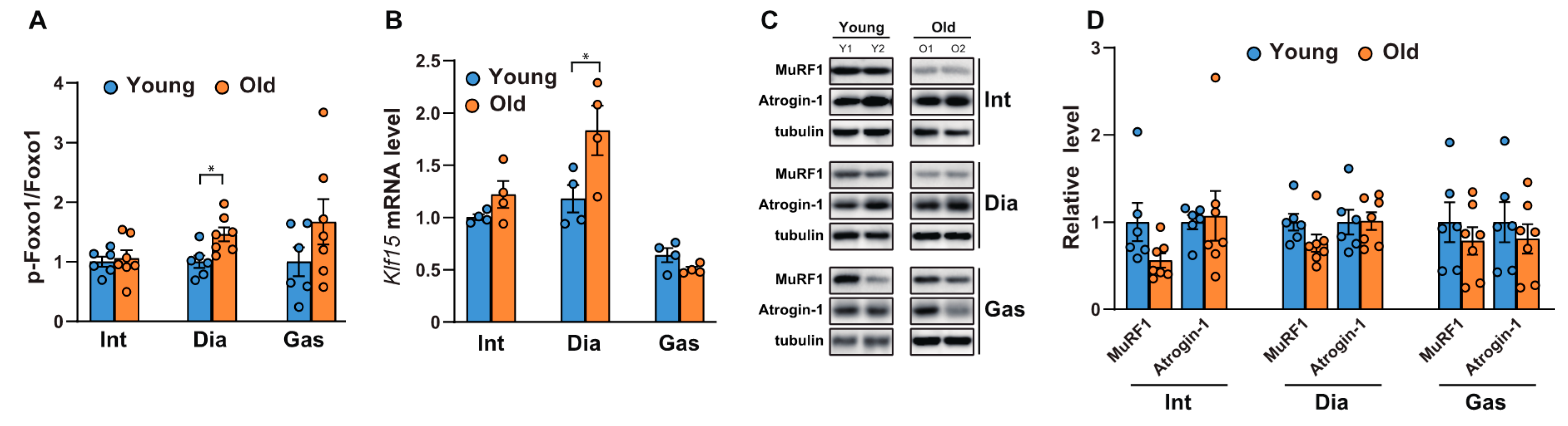 Ijms 21 02862 g002 Ijms 21 02862 g002