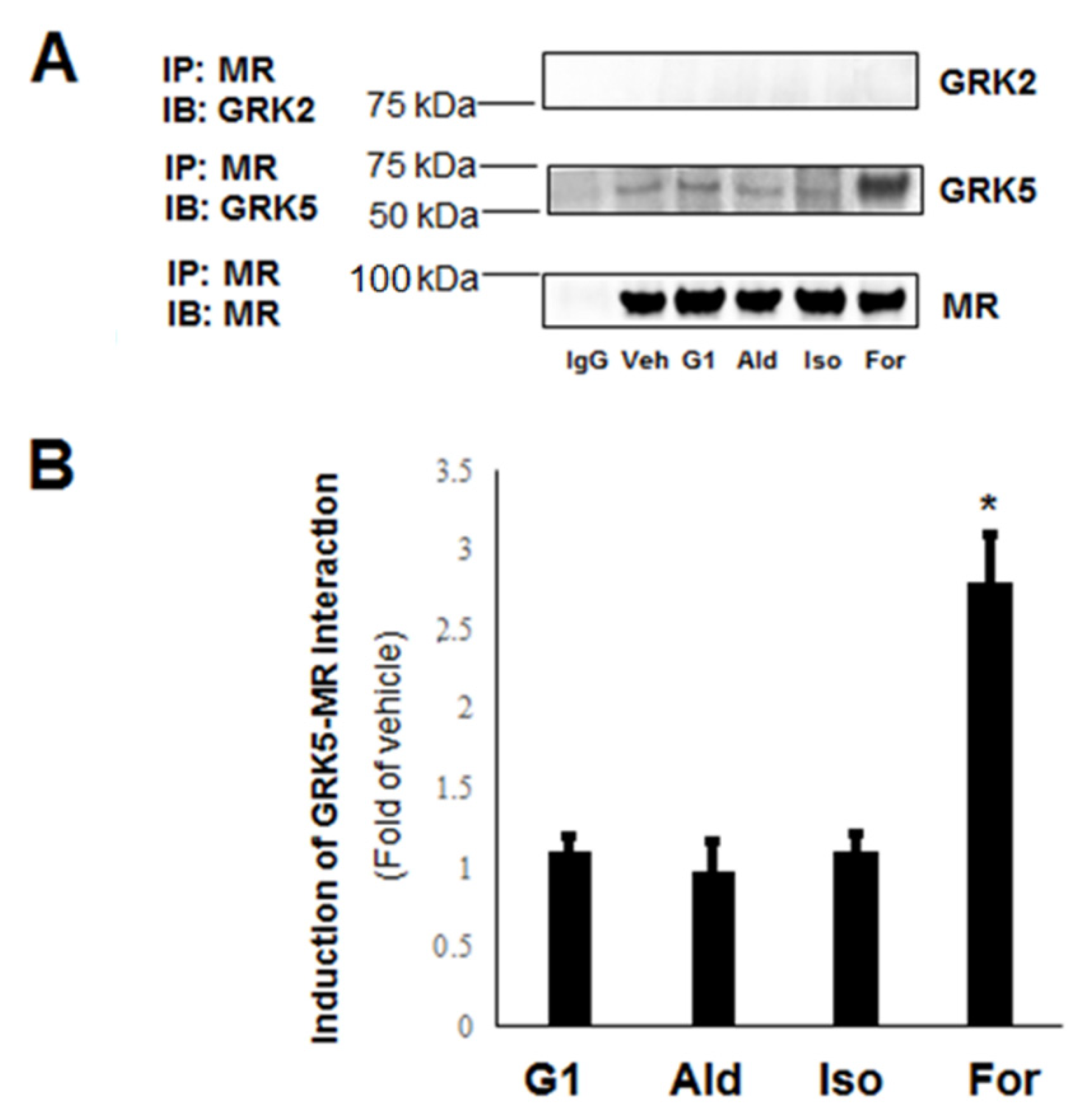 Ijms 21 02868 g001 Ijms 21 02868 g001