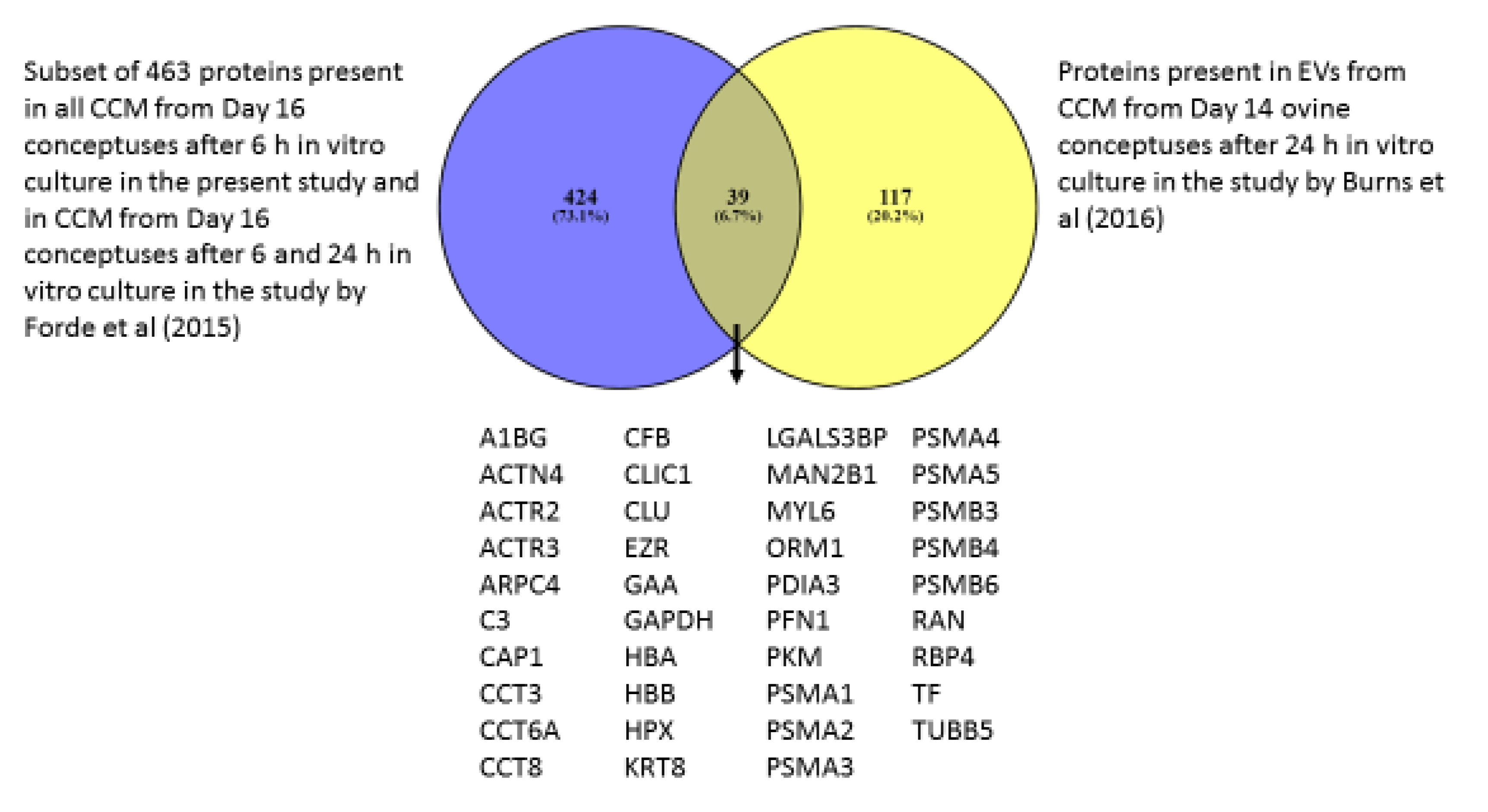 Ijms Free Full Text Protein Synthesis By Day 16 Bovine Conceptuses During The Time Of Maternal Recognition Of Pregnancy Html