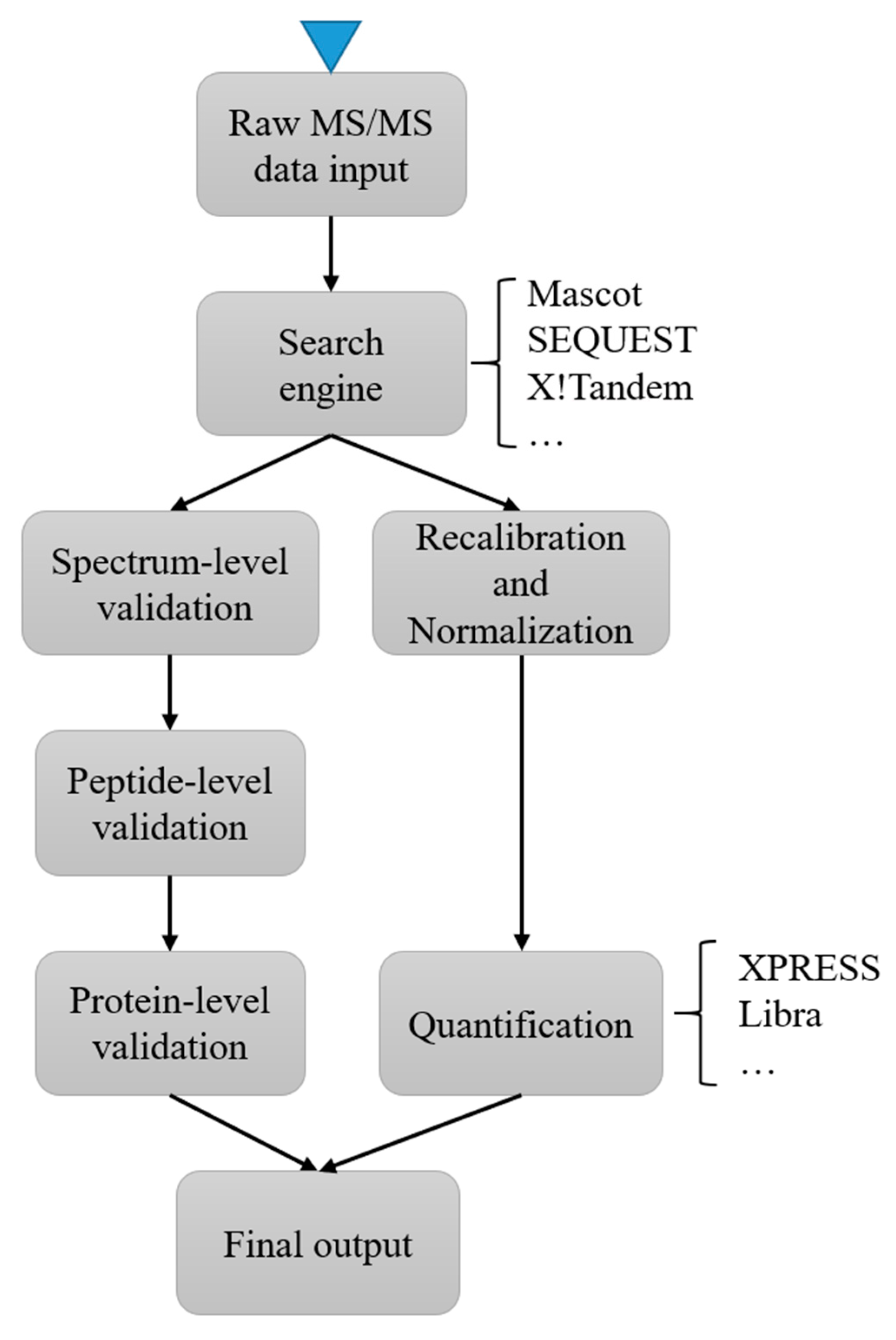 IJMS Free FullText Bioinformatics Methods for Mass SpectrometryBased Proteomics Data Analysis