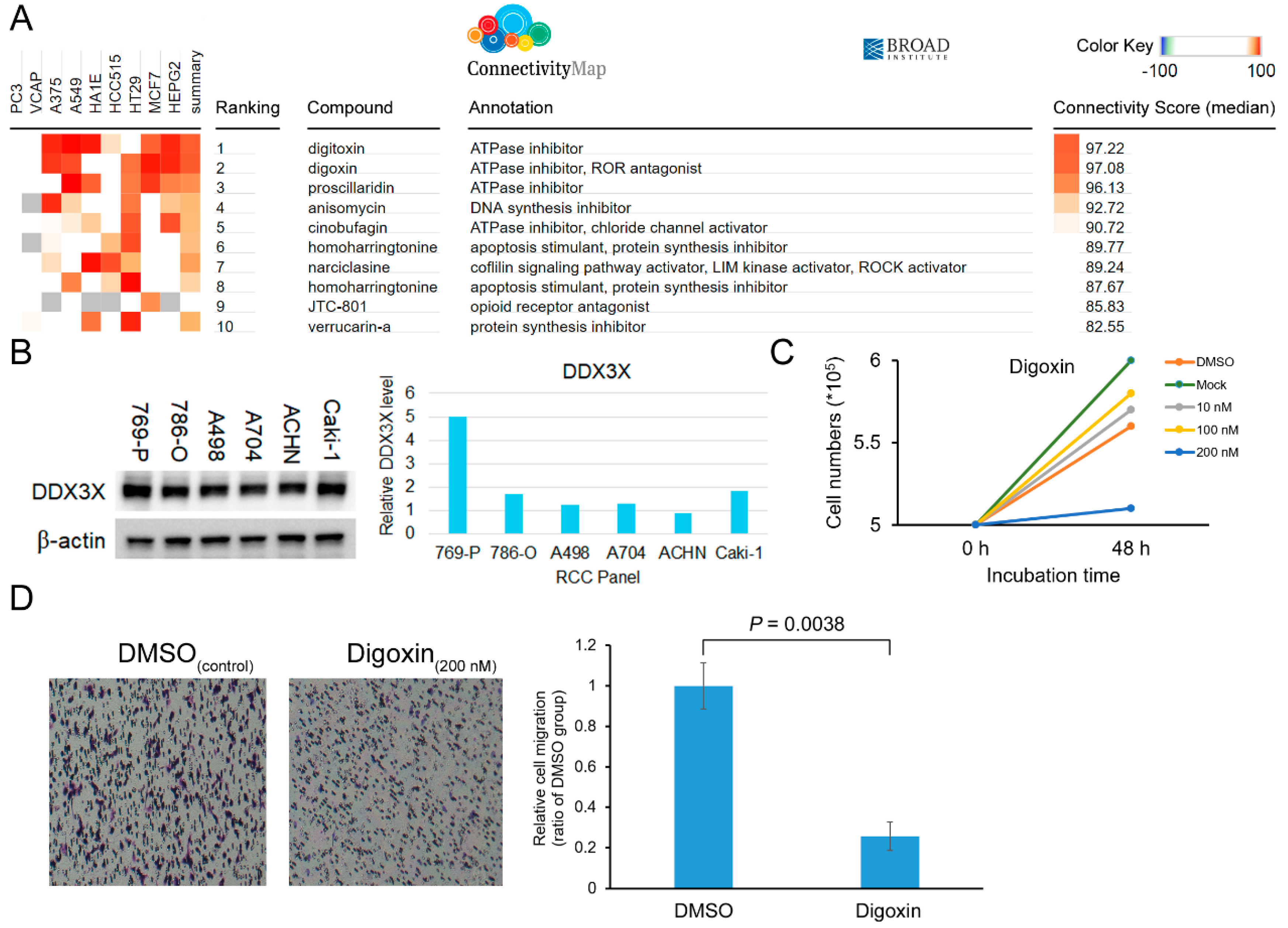 Ijms 21 02881 g004 Ijms 21 02881 g004