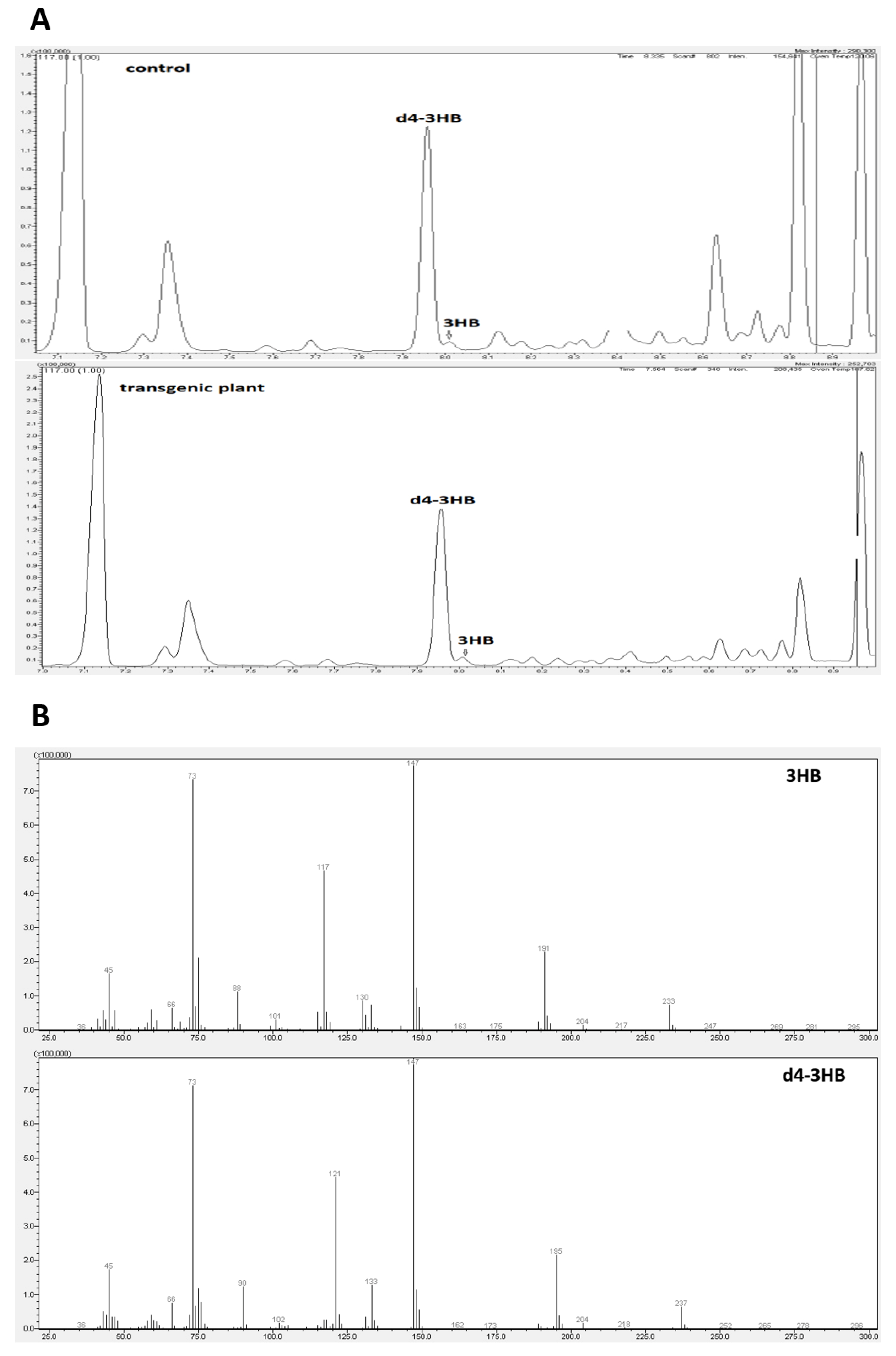 Ijms 21 02887 g002 Ijms 21 02887 g002