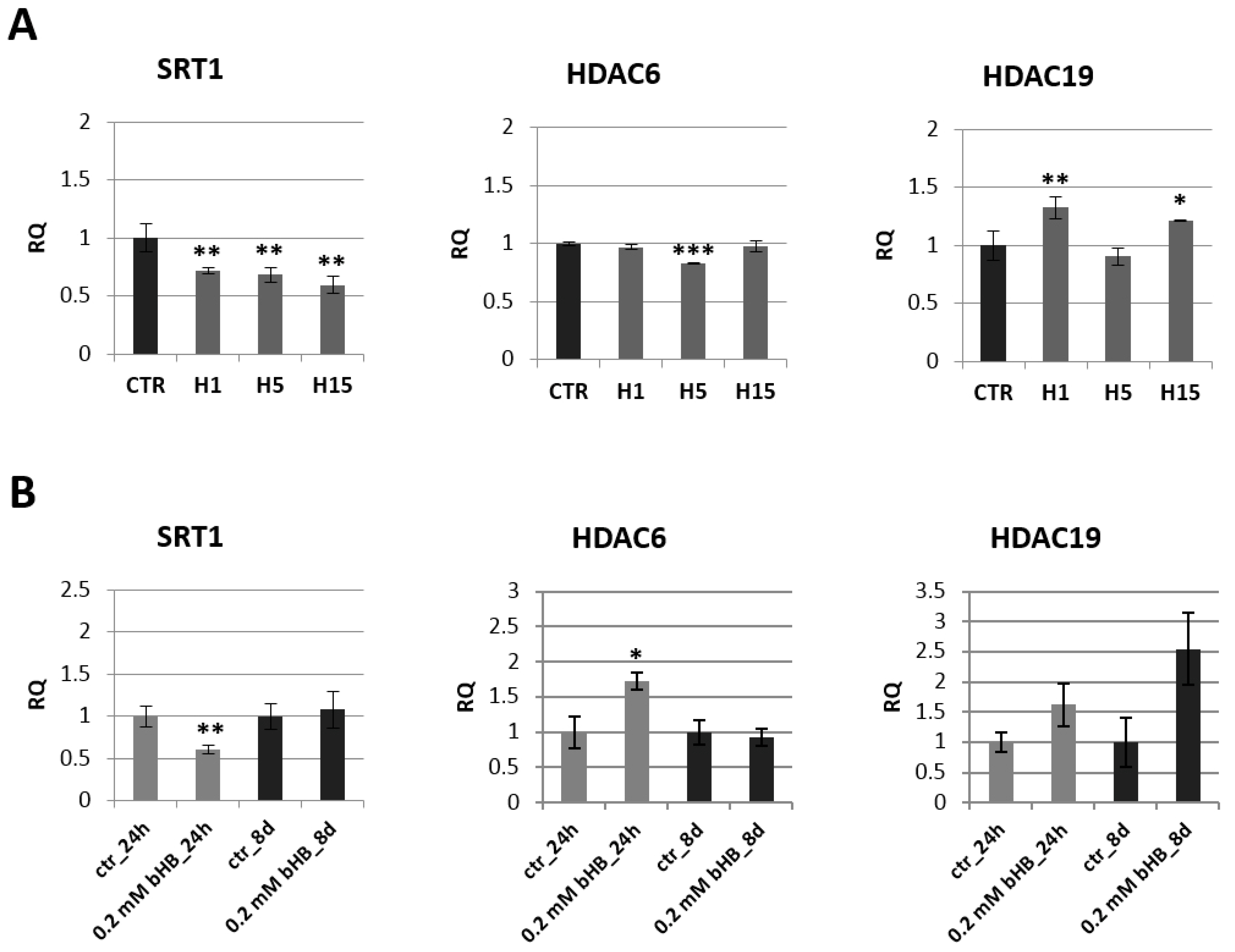 Ijms 21 02887 g004 Ijms 21 02887 g004