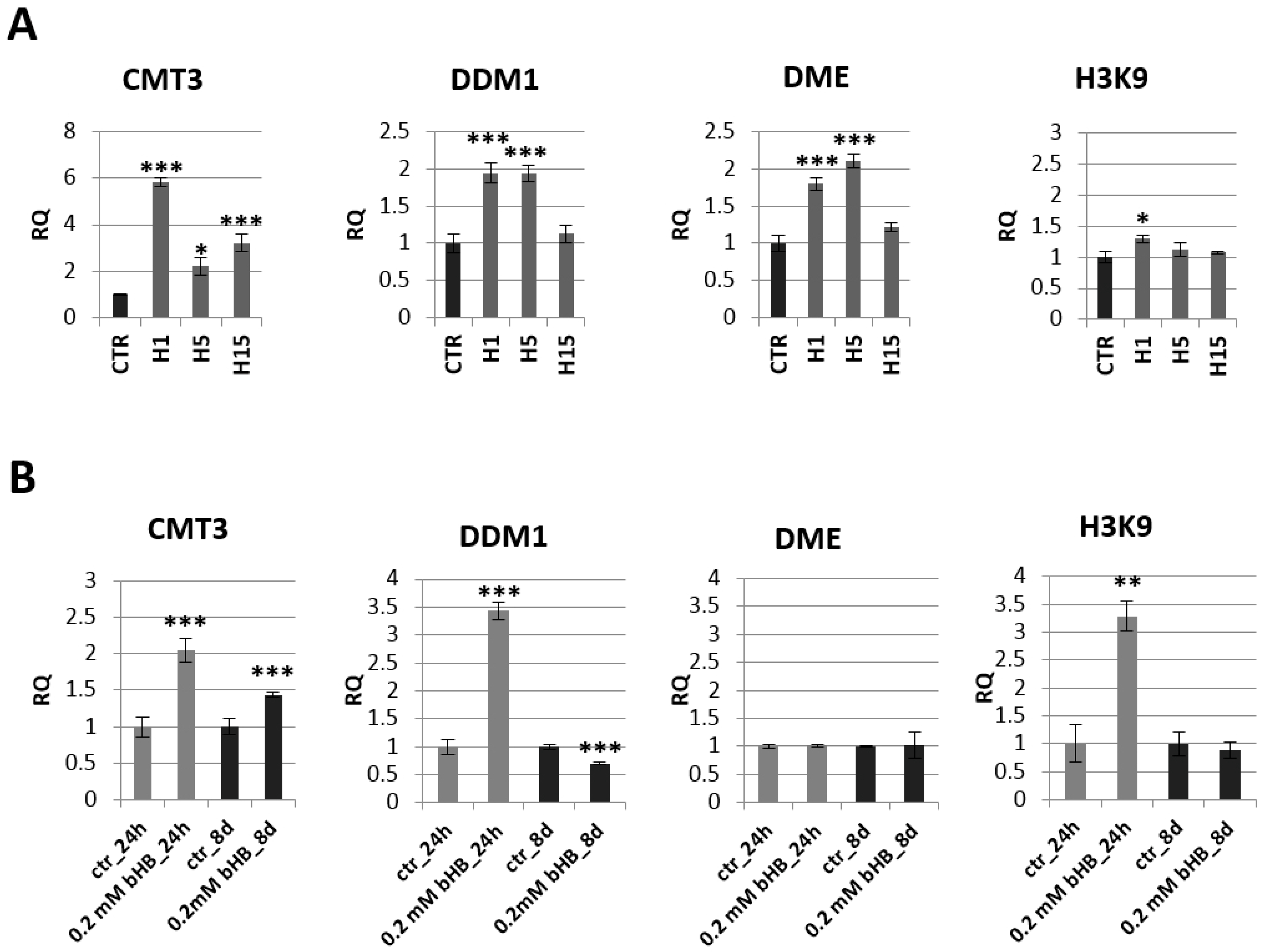 Ijms 21 02887 g005 Ijms 21 02887 g005