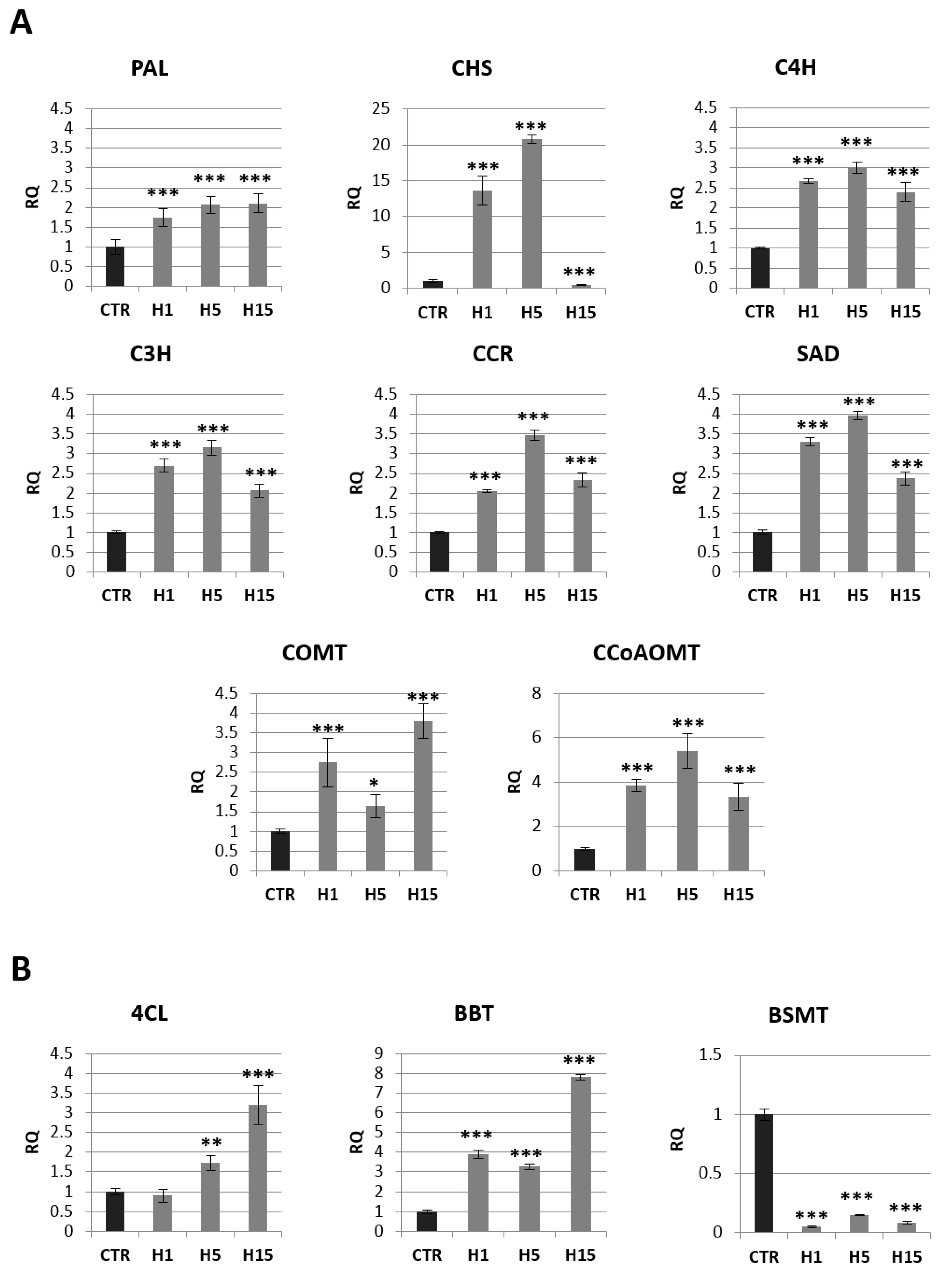 Ijms 21 02887 g007 Ijms 21 02887 g007